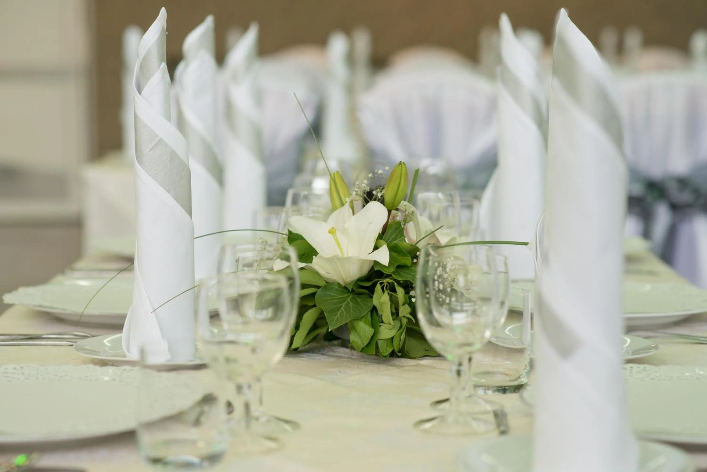 Restaurant/places to eat in Hotel Termal