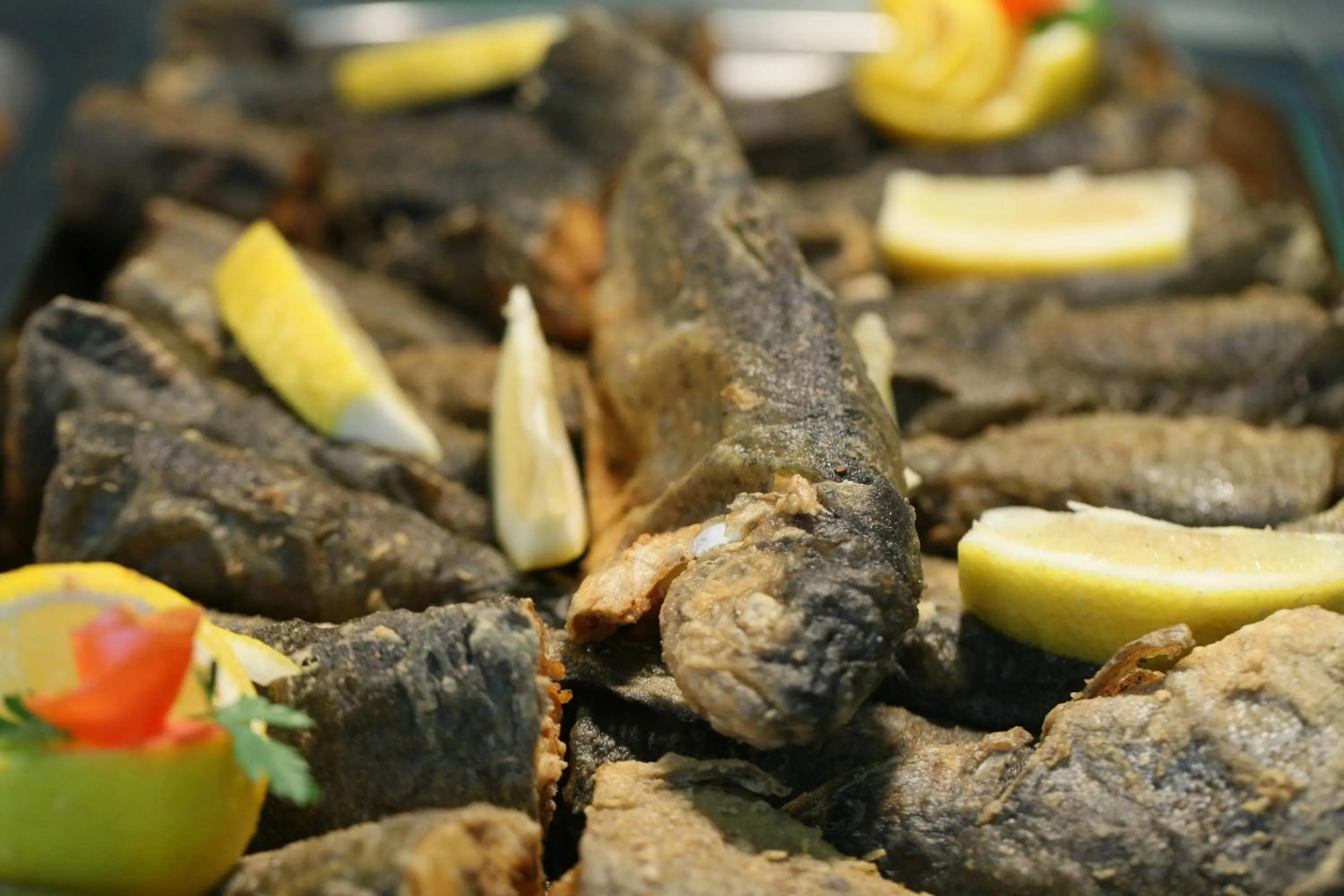 Food close-up in Hotel Termal