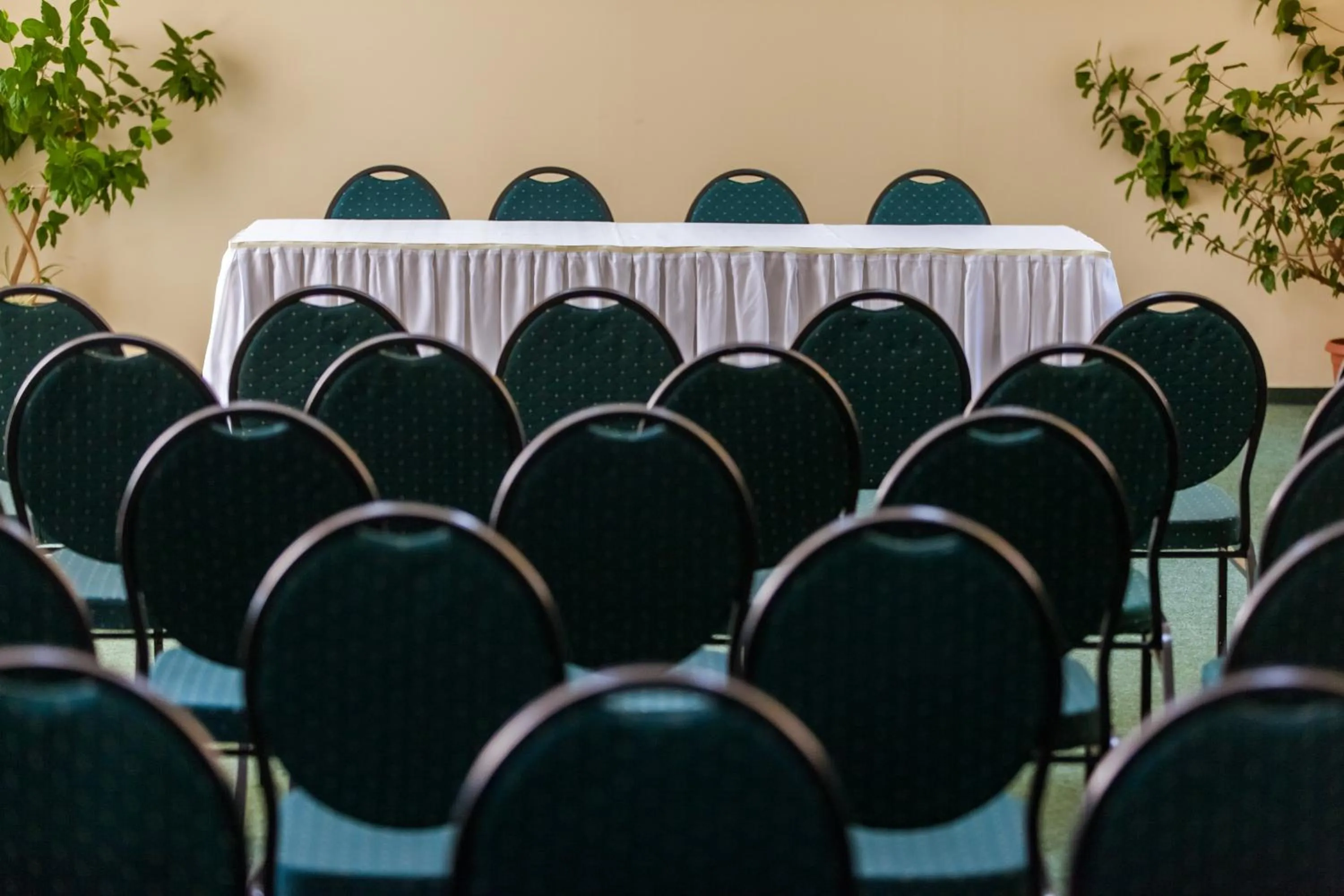 Business facilities in Hotel Poienița