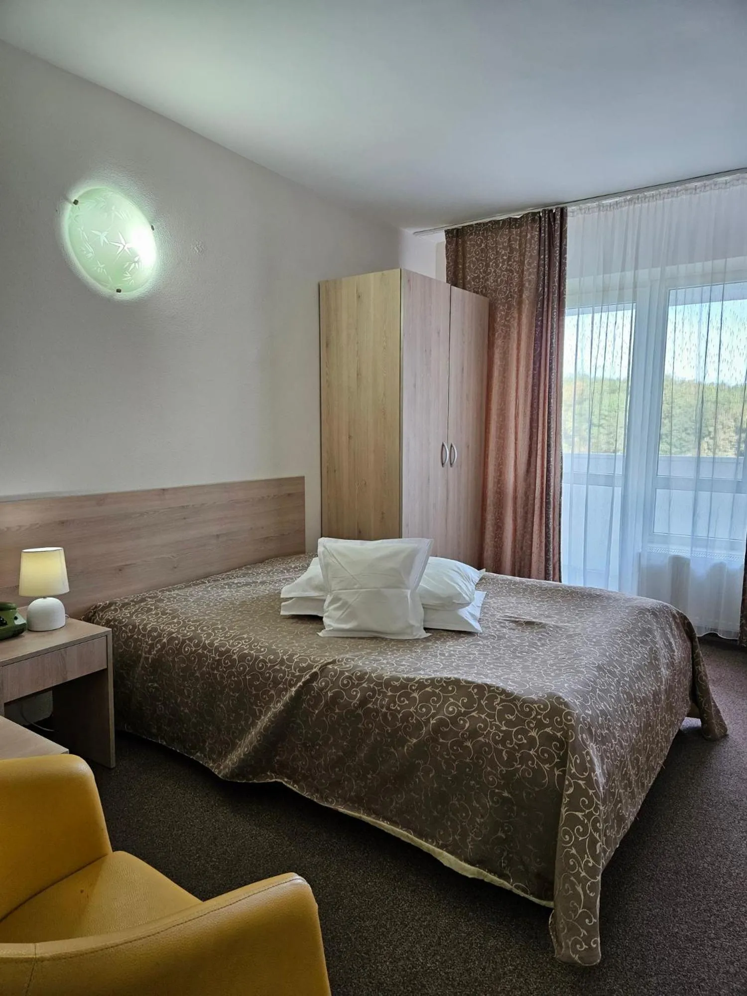 Single Room in Hotel Mures