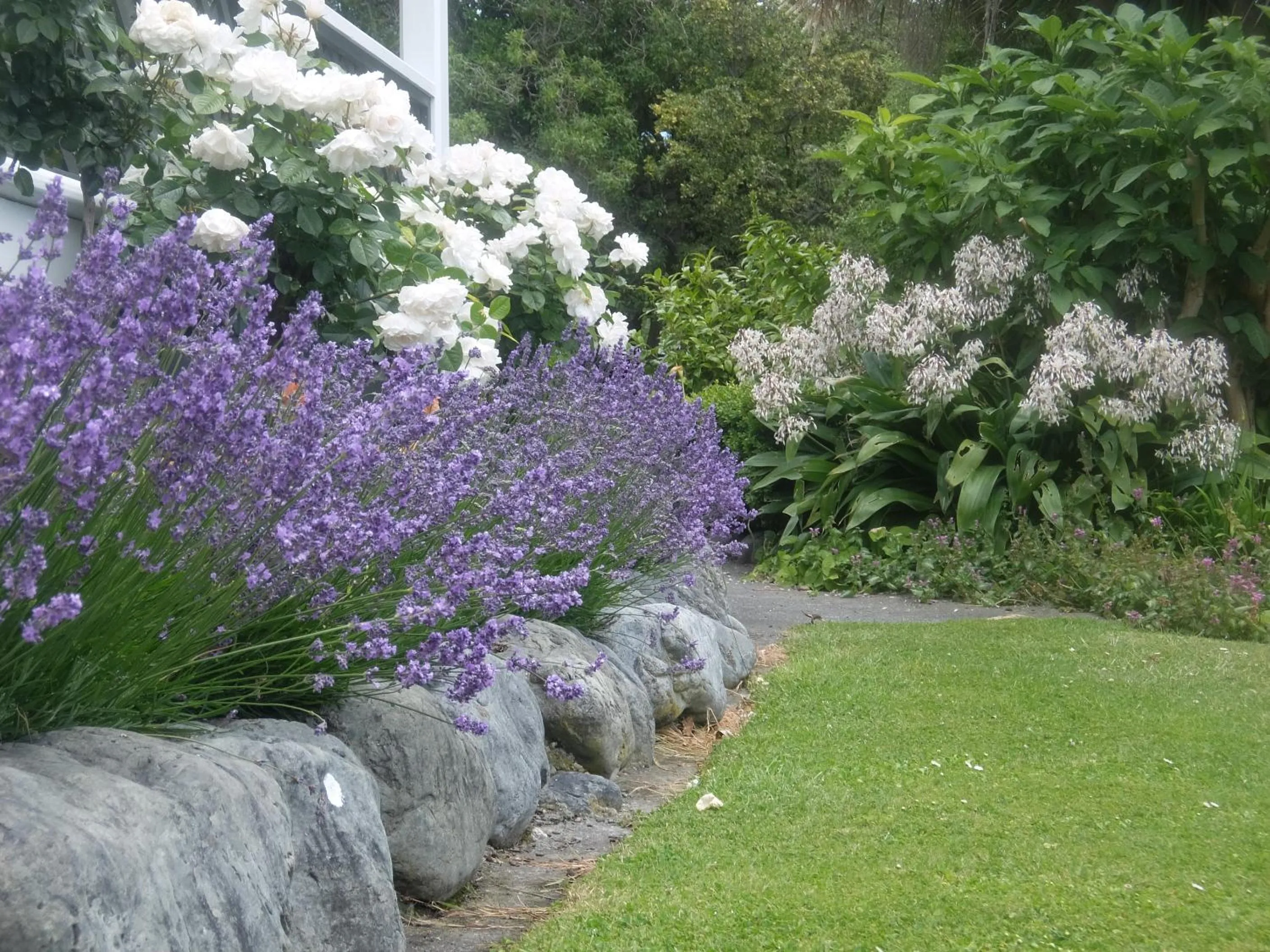 Garden in The Point B&B