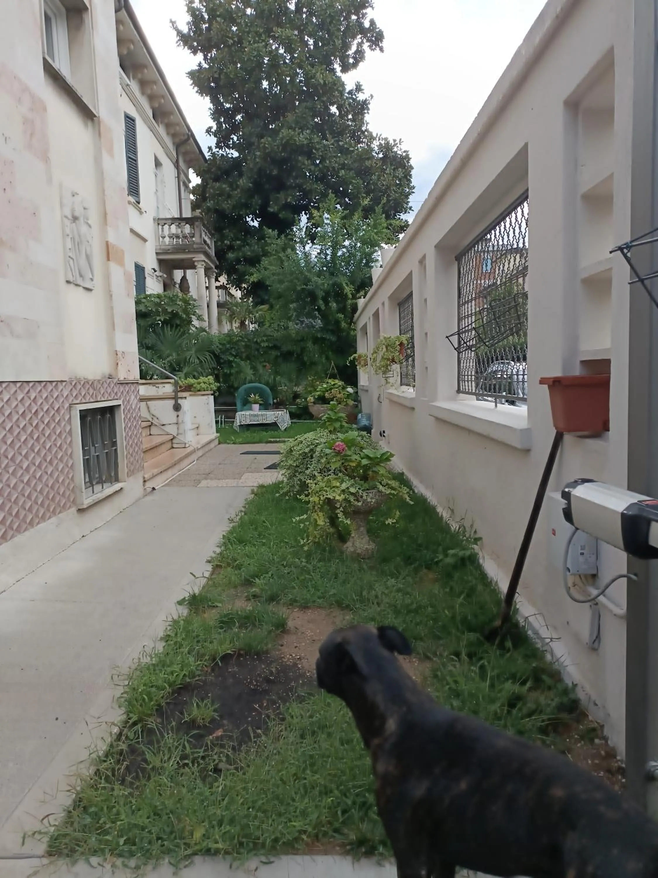 Garden, Property Building in B&B Mavipagi