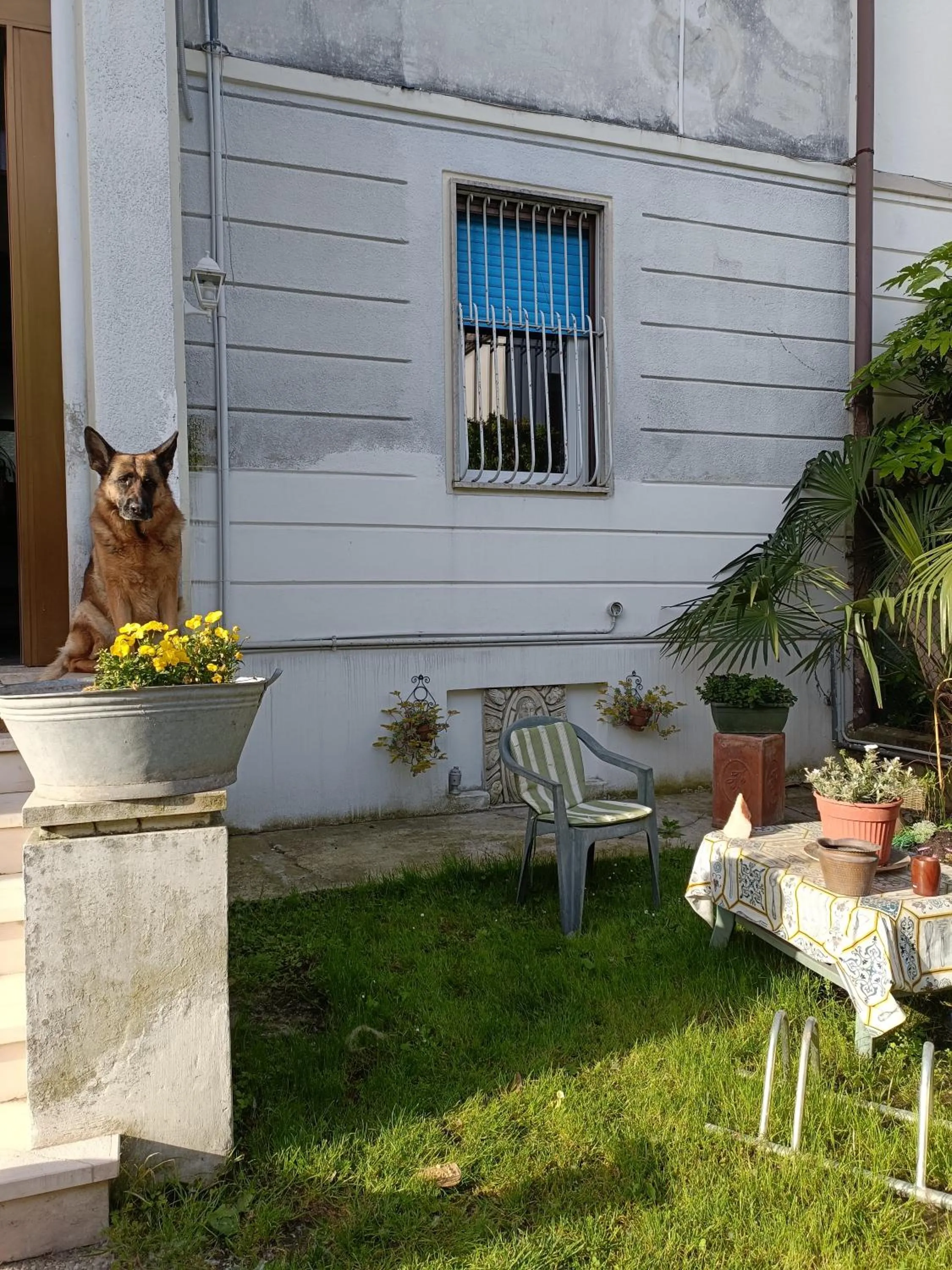 Property building in B&B Mavipagi