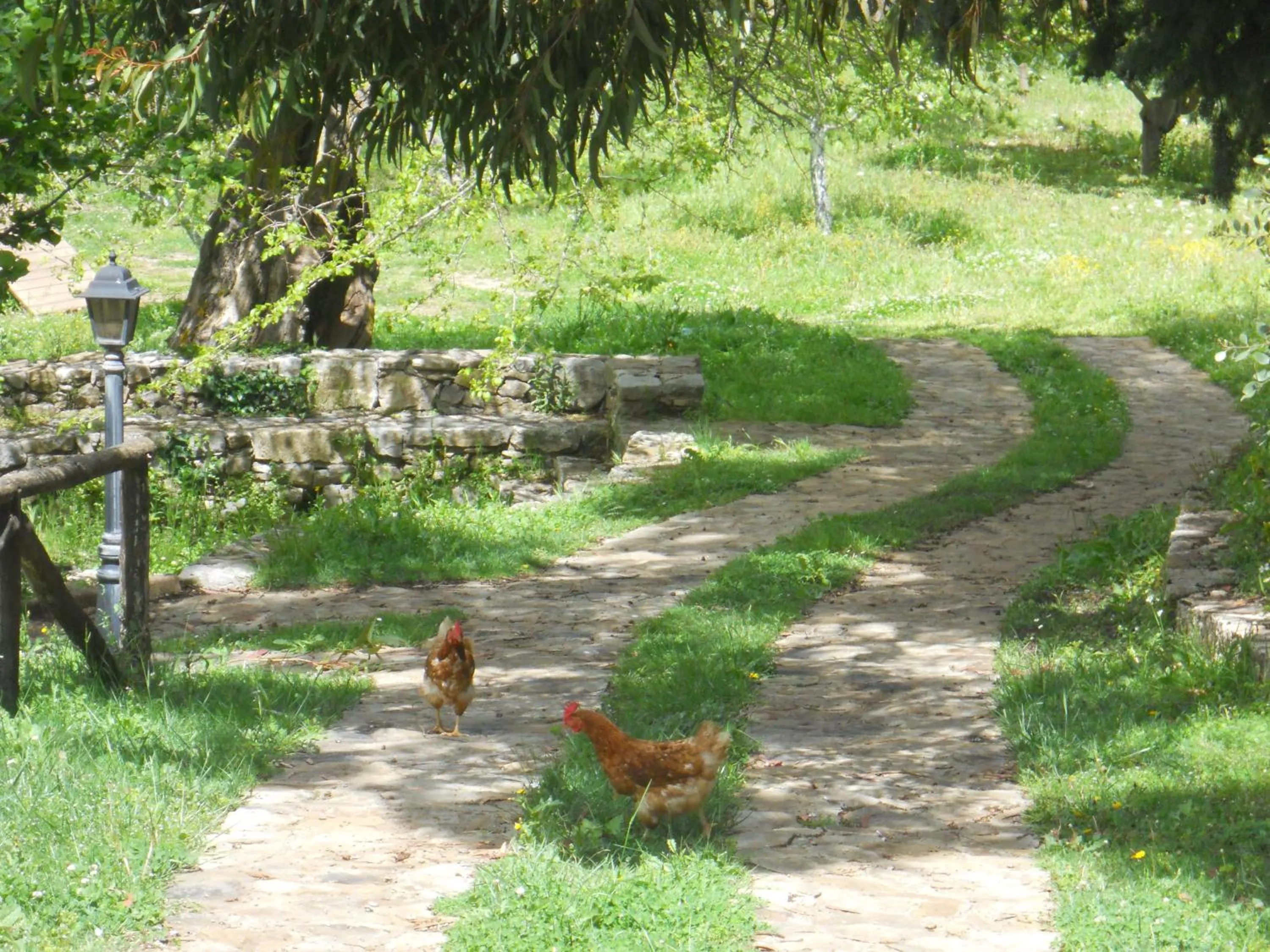 Garden in L'Antico Casale