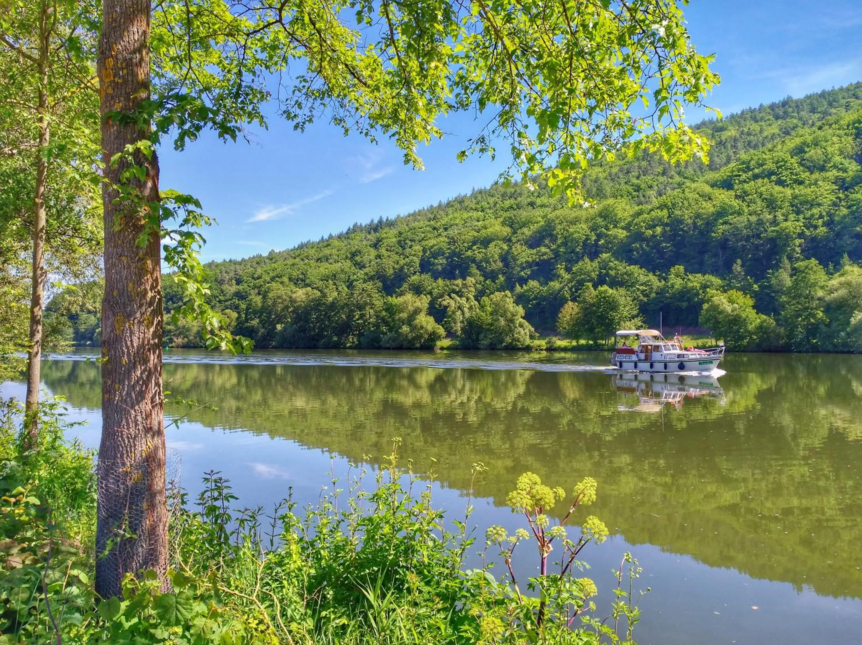 Summer in Weekly Boardinghouse