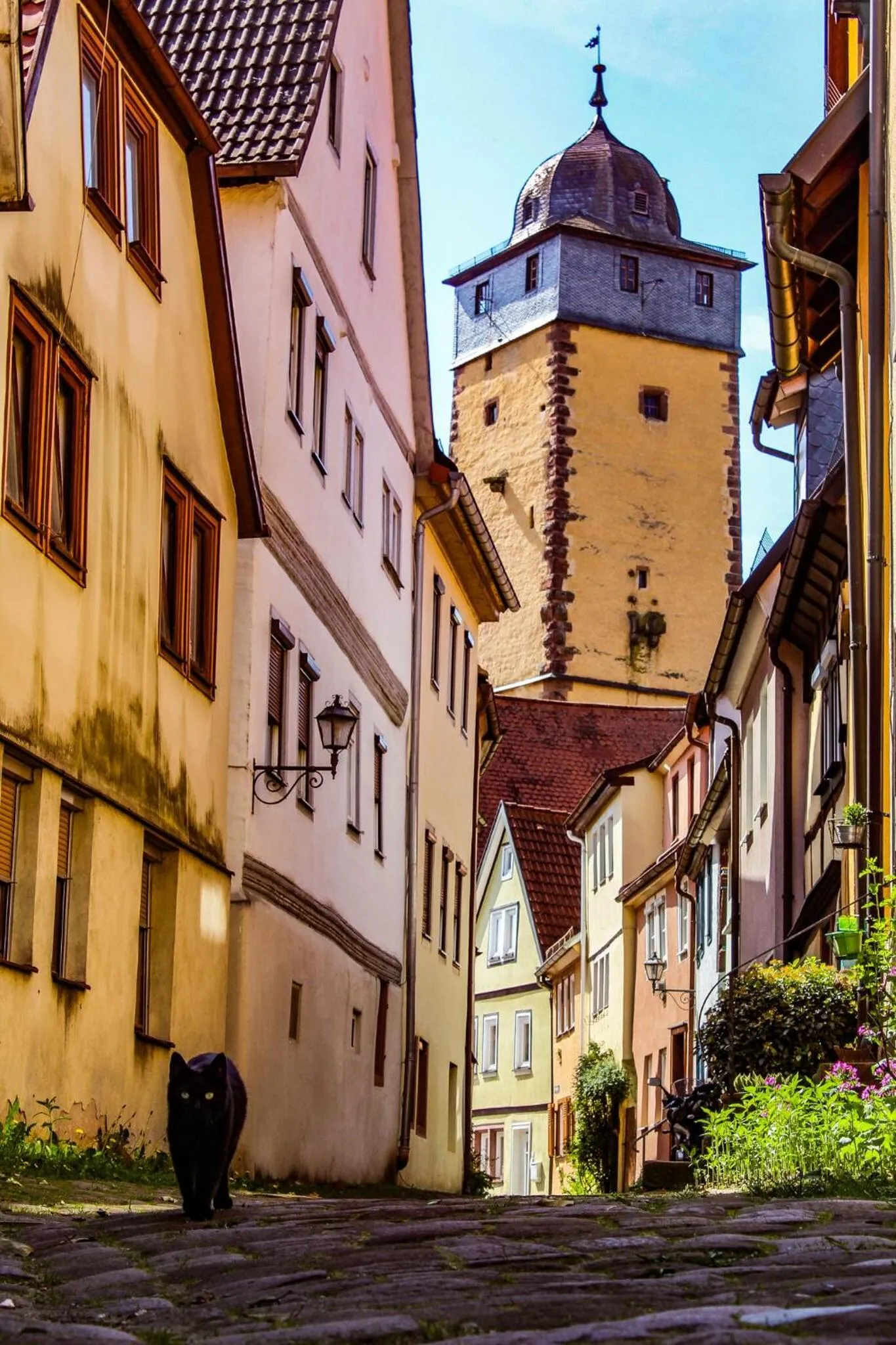 Nearby landmark in Weekly Boardinghouse