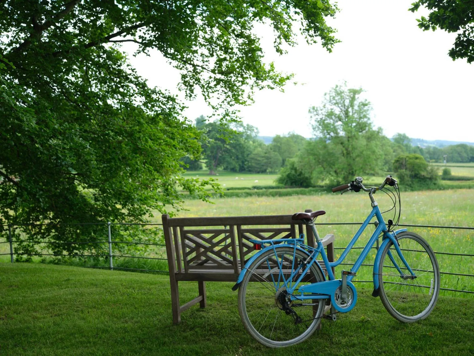 Natural landscape in Wildhive Callow Hall