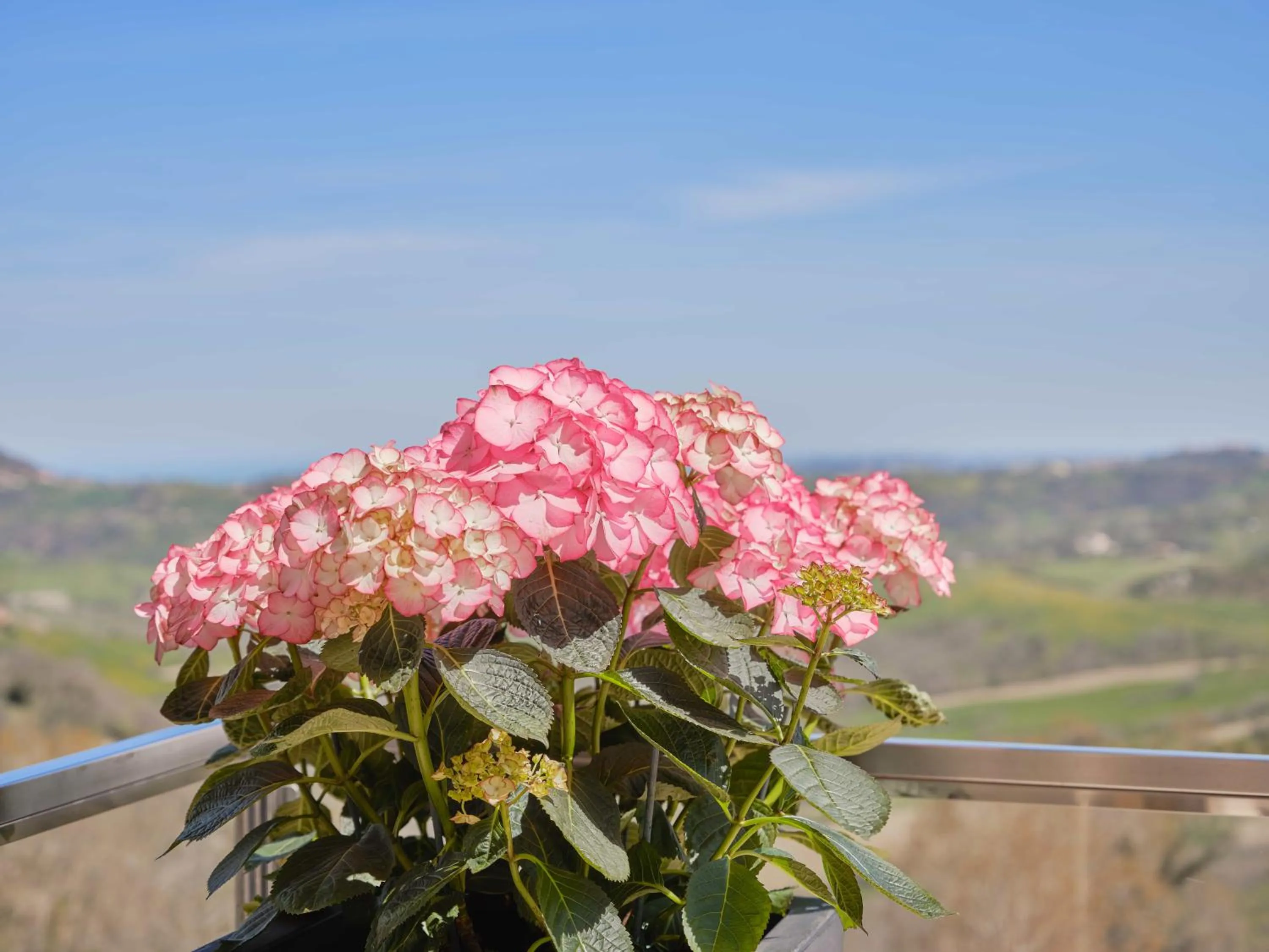 Spring in Albergo Diffuso Spa - Il Poggetto tra Urbino & San Marino