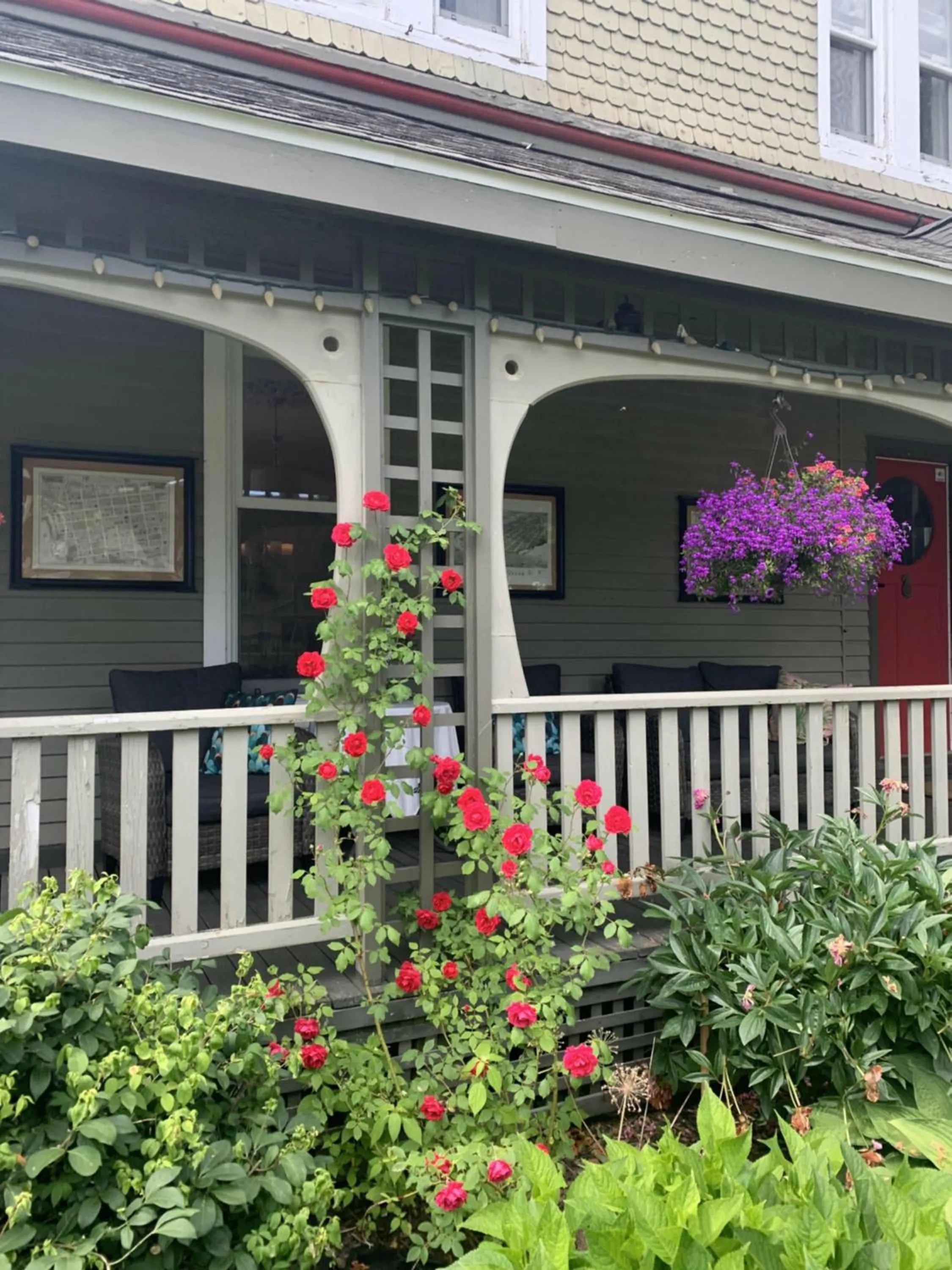 Garden view in No 1 Grafton Inn