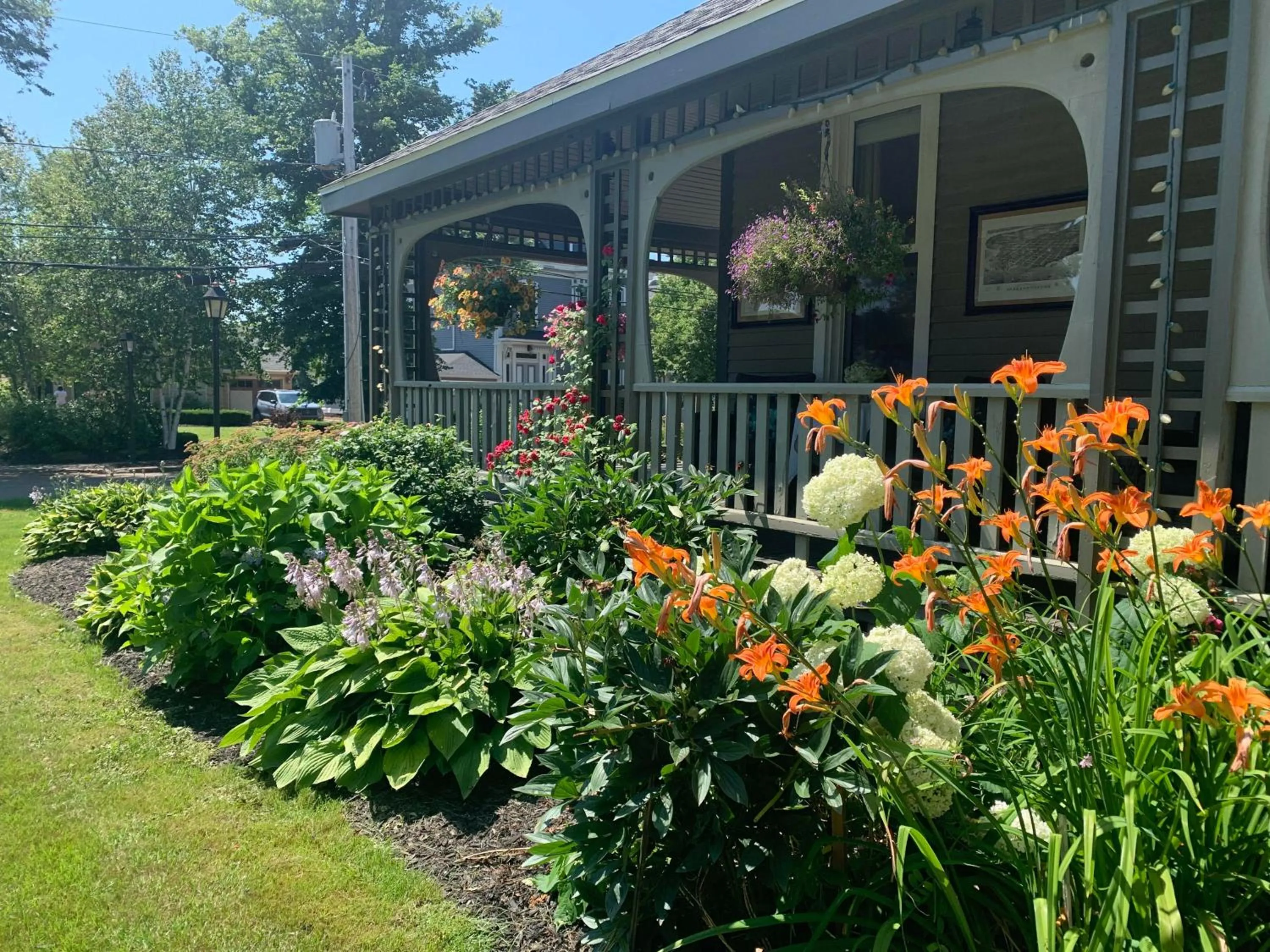 Garden in No 1 Grafton Inn