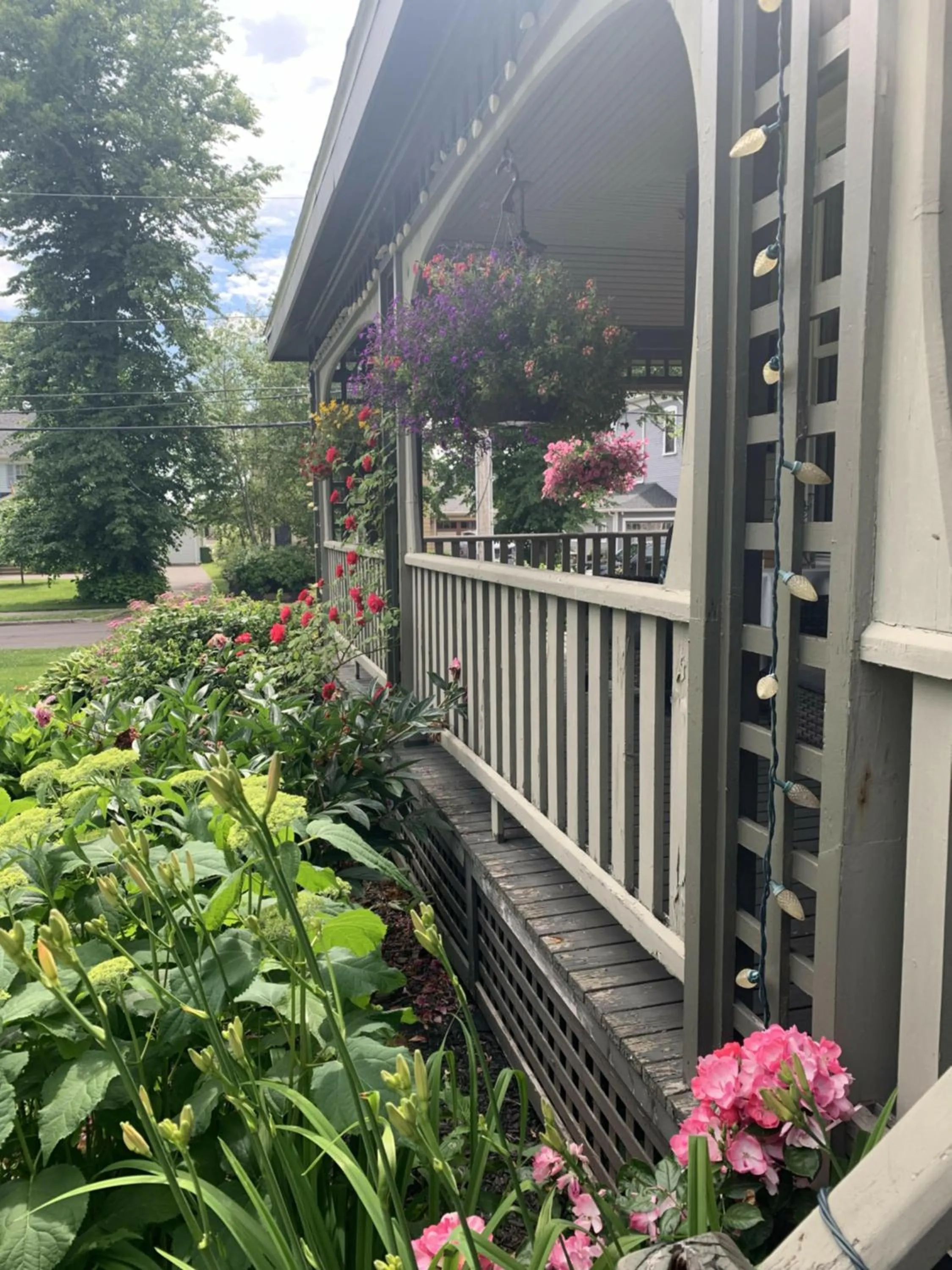 Garden in No 1 Grafton Inn