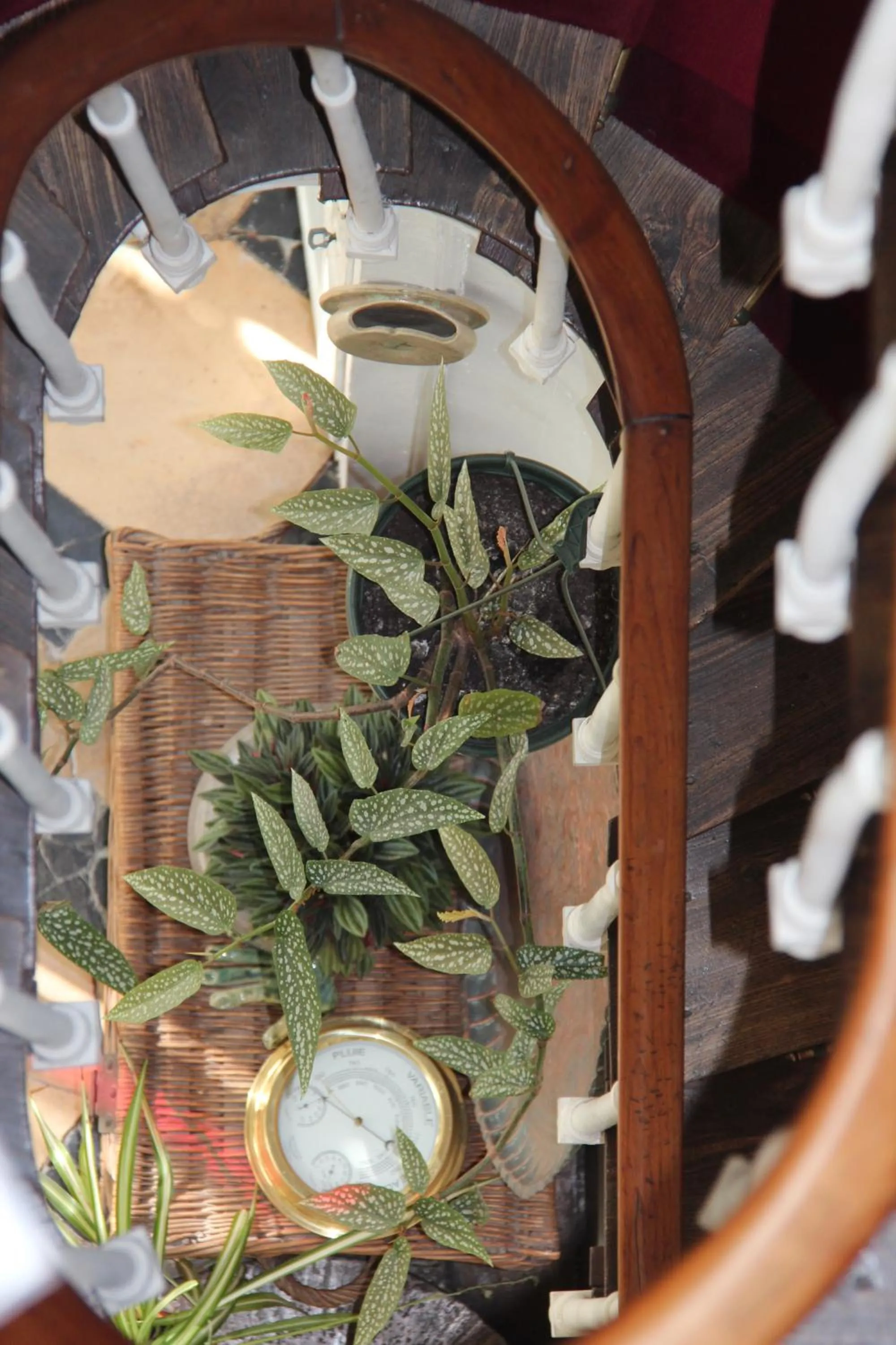 Decorative detail in Les Capucines