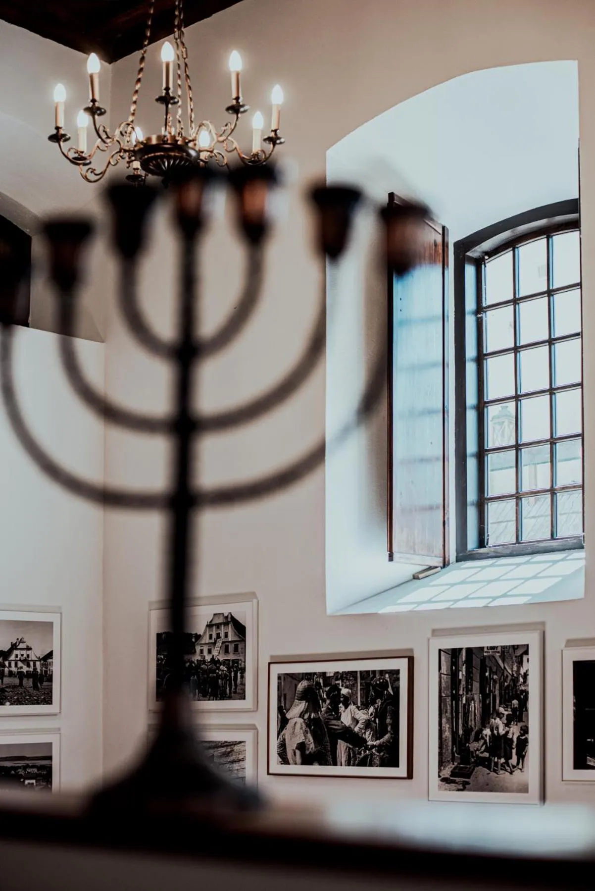 Area and facilities in Dawna Synagoga Beitenu