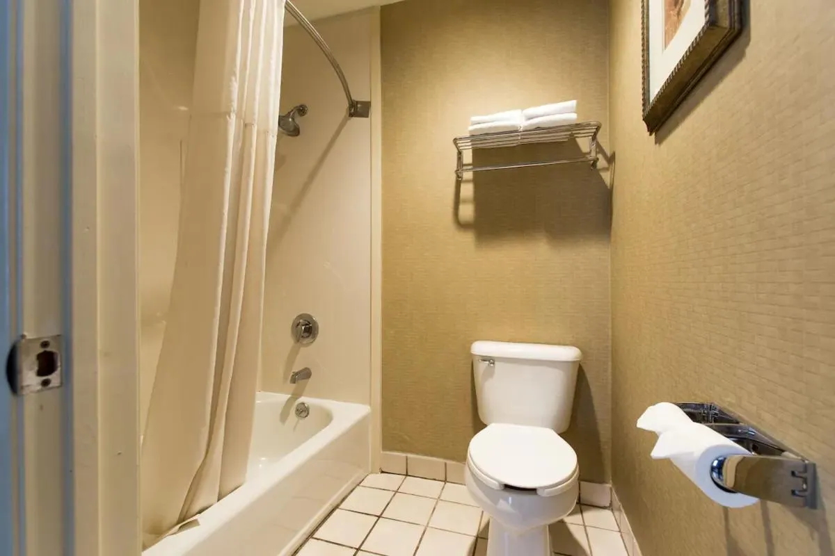 Bathroom in Hotel Silver Lake