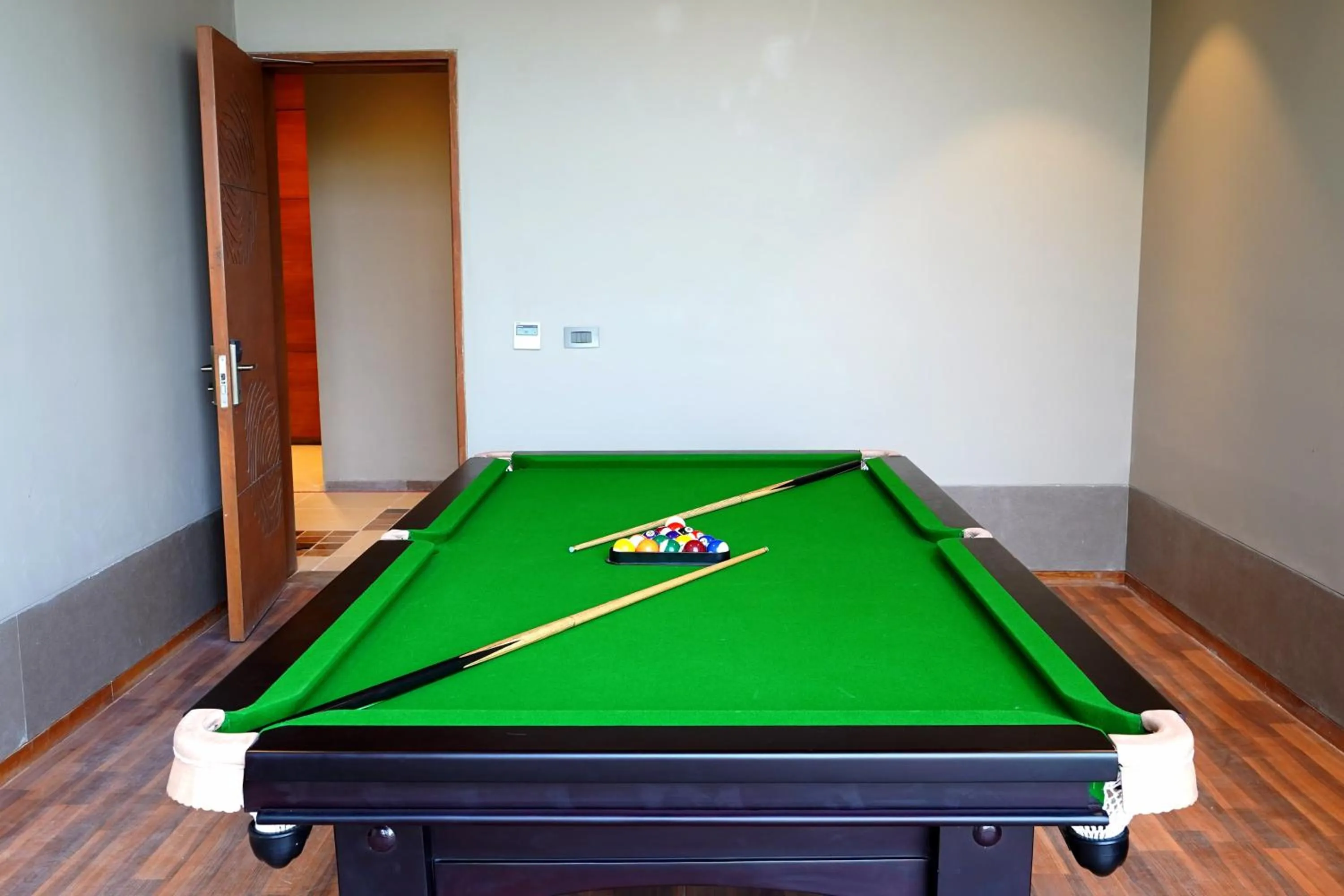Billiard in The Centrum