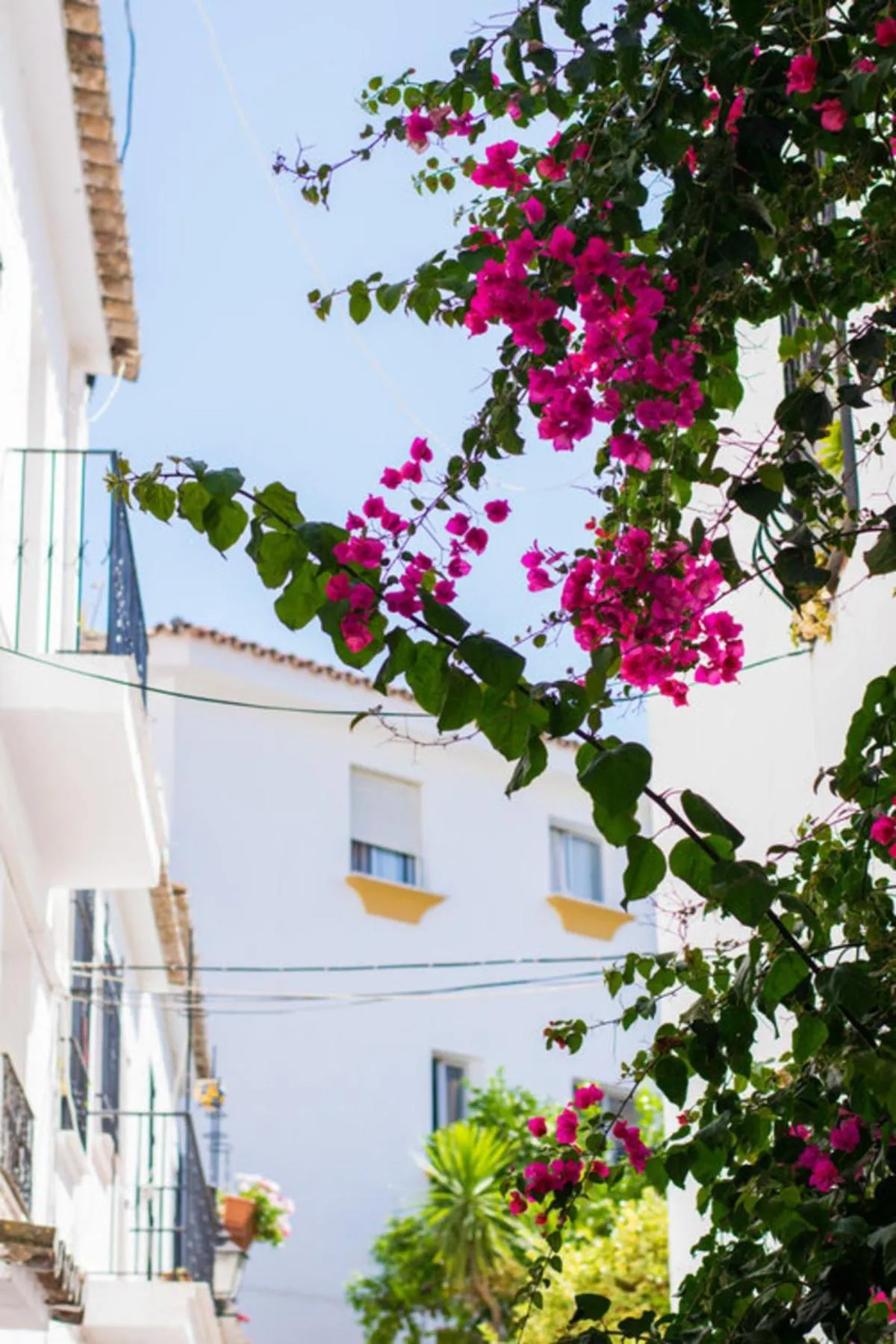 Day in Superior 3BR GolfLA Apartment Minutes from Puerto Banus & Marbella
