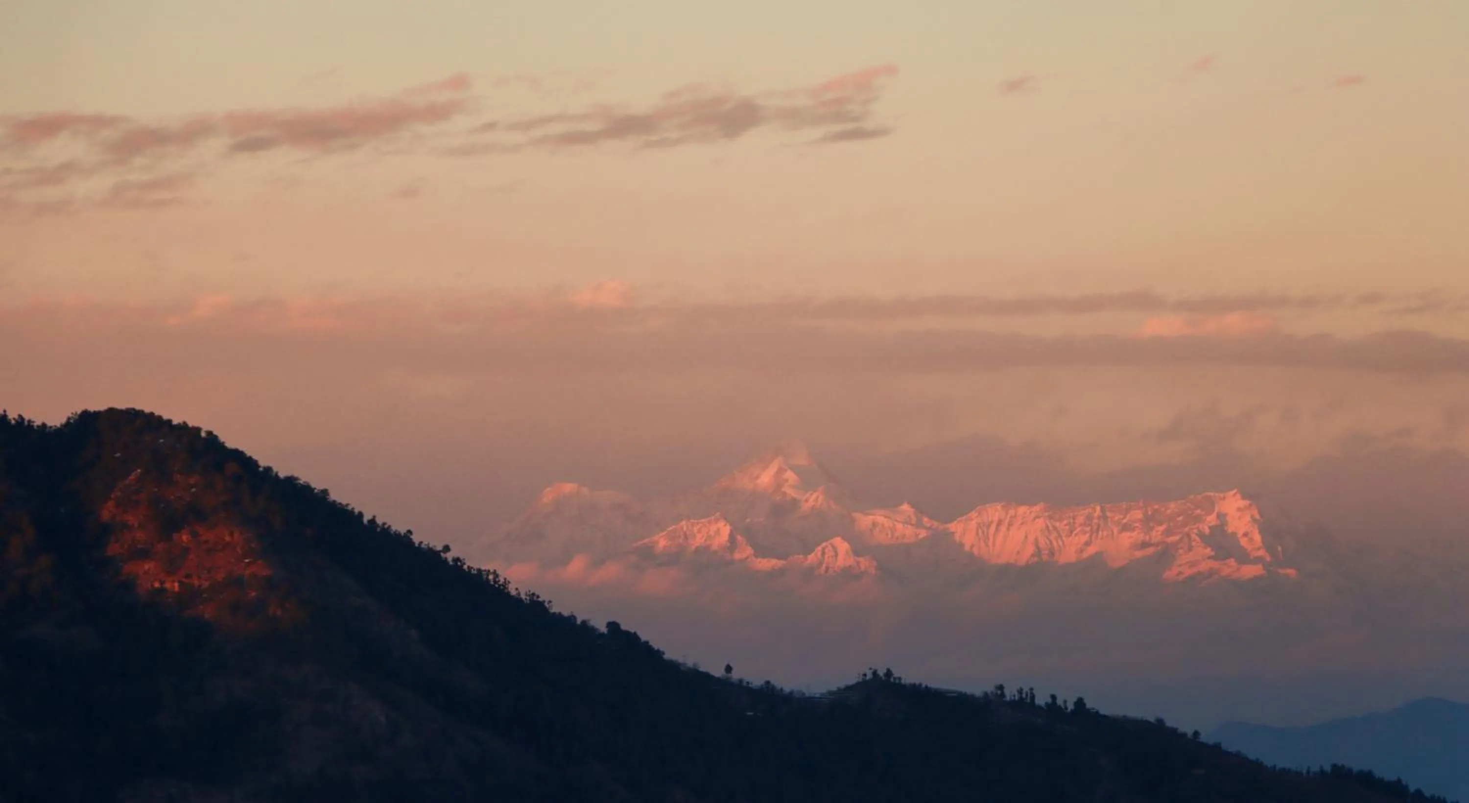 Natural landscape in THEHIMALAYANLIVING WHISTLING PINES