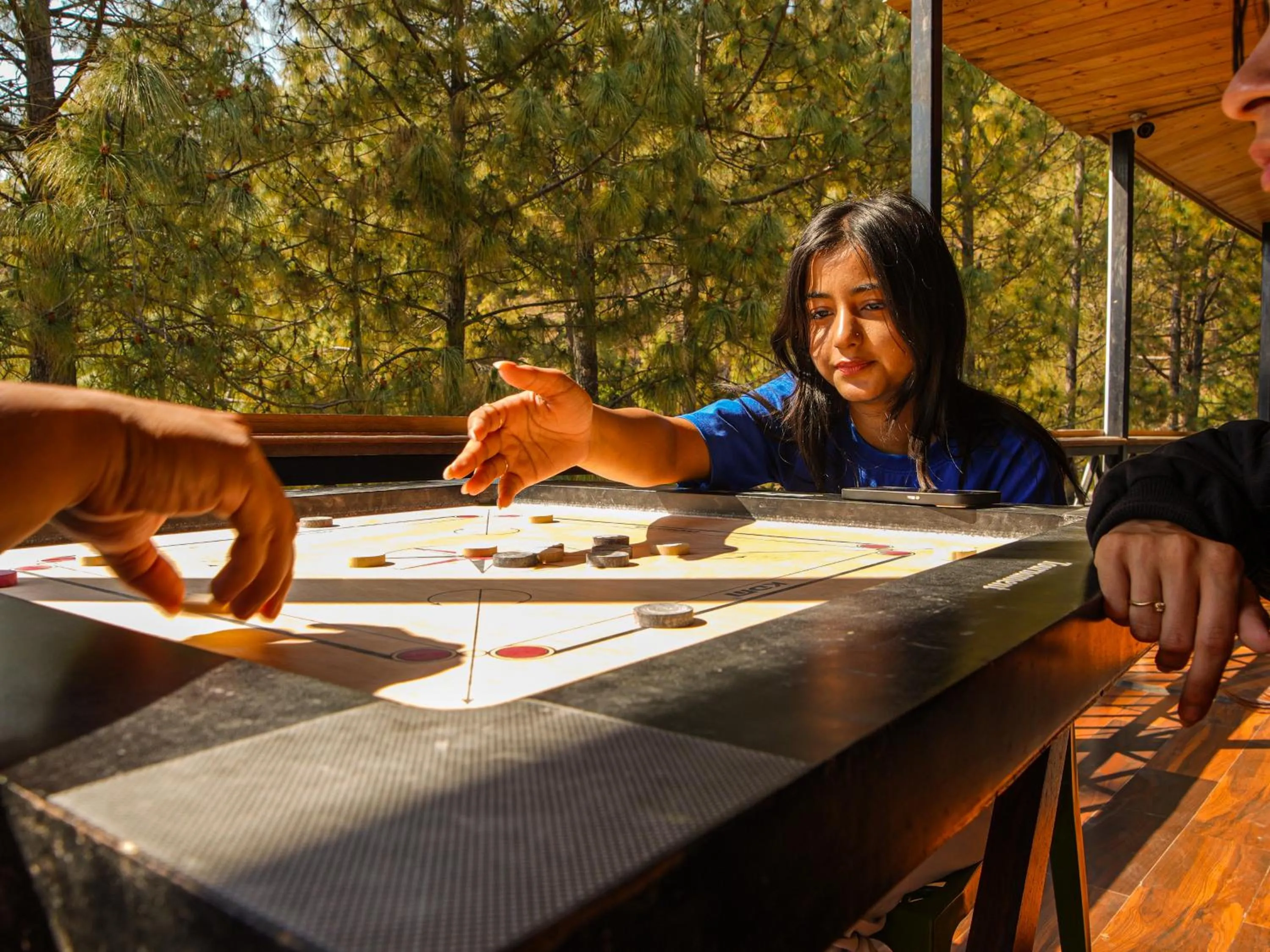 Game Room in THEHIMALAYANLIVING WHISTLING PINES