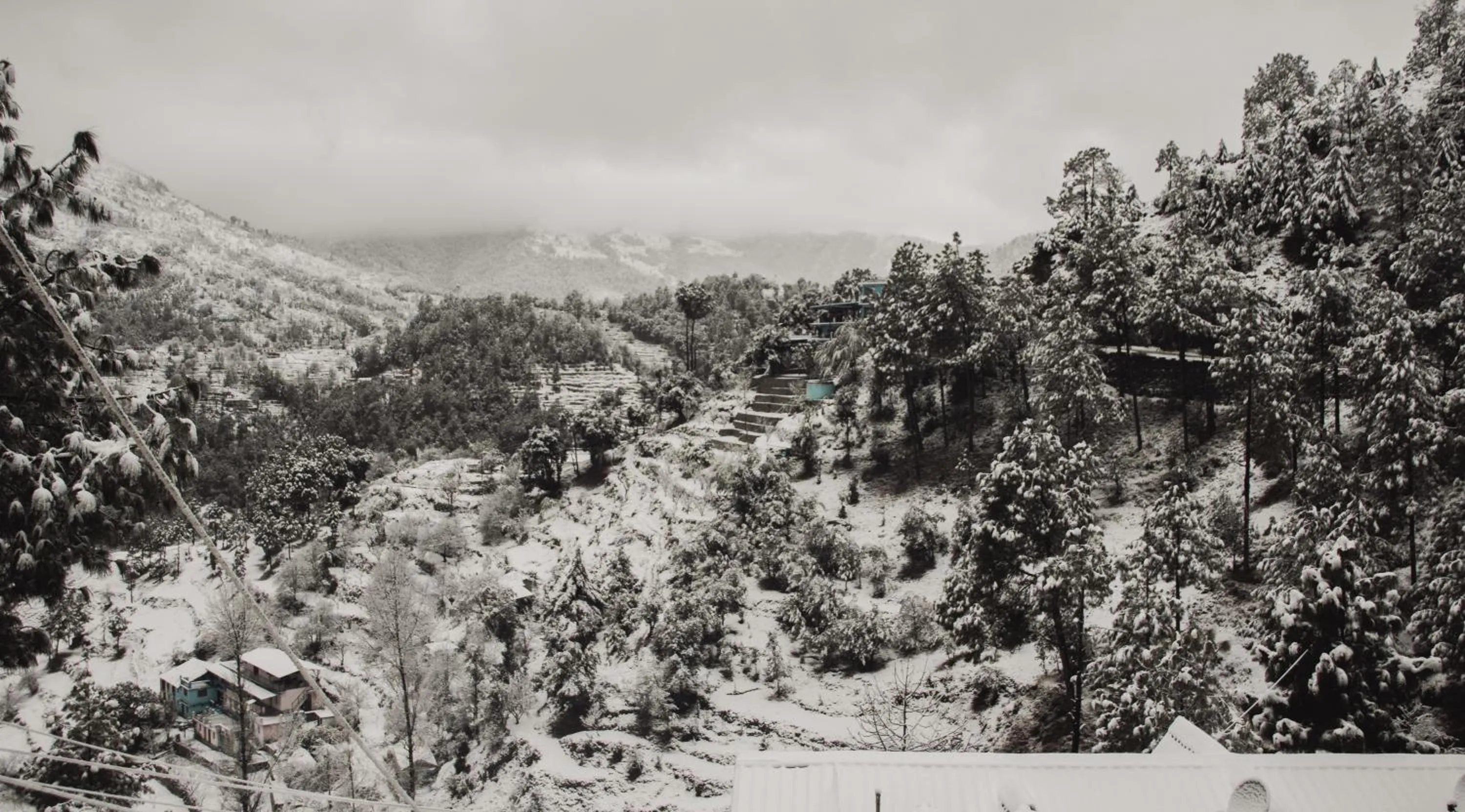 Natural landscape in THEHIMALAYANLIVING WHISTLING PINES