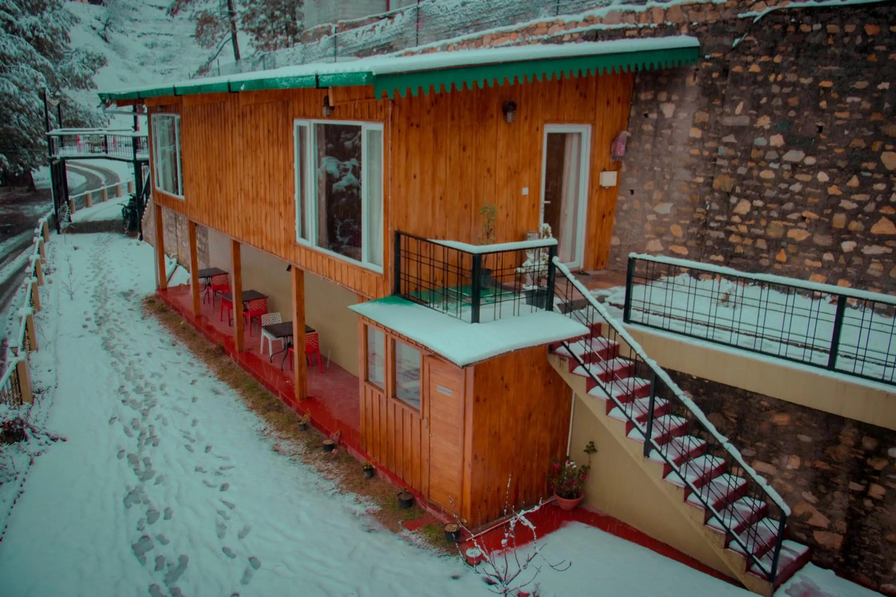 Winter in THEHIMALAYANLIVING WHISTLING PINES