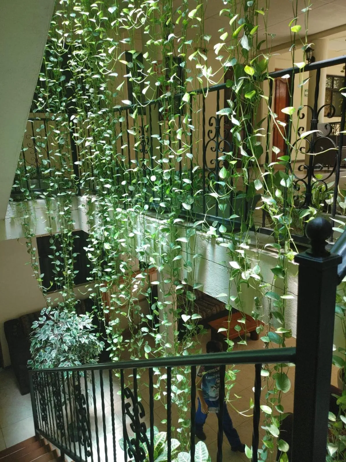 Garden in Hotel Tradicional Savaro SA de CV