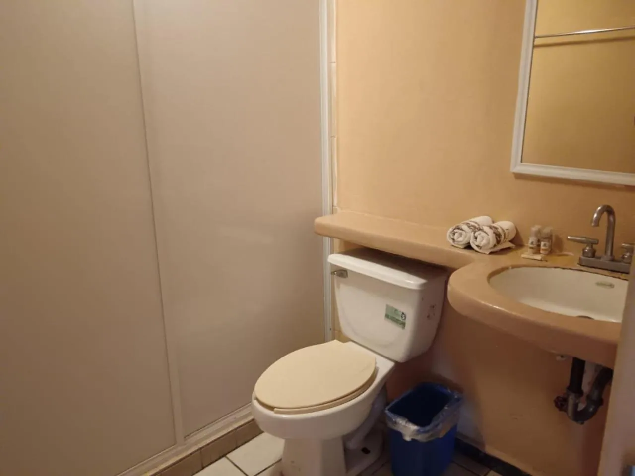 Toilet in Hotel Tradicional Savaro SA de CV