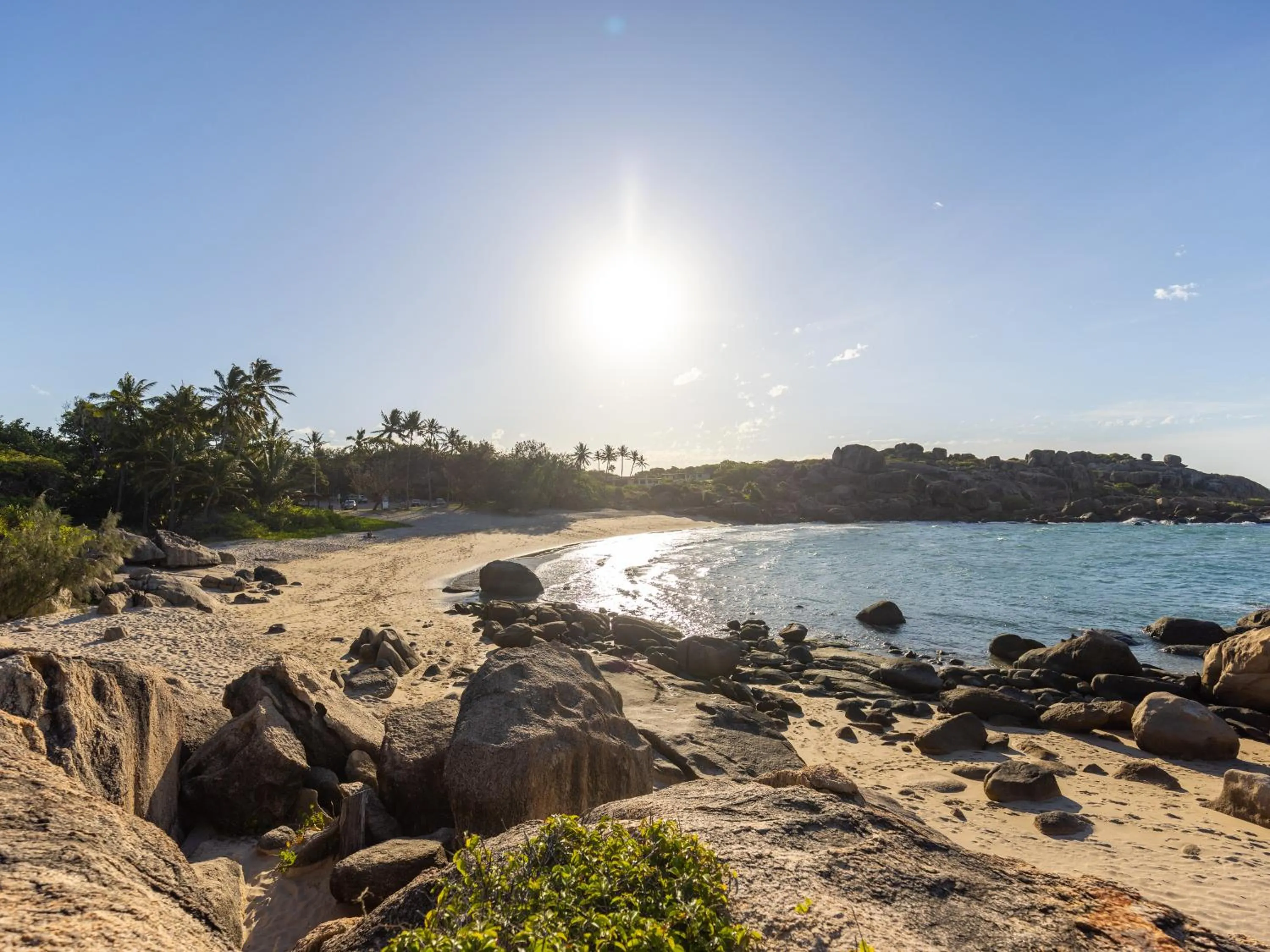 Natural landscape in NRMA Bowen Beachfront Holiday Park