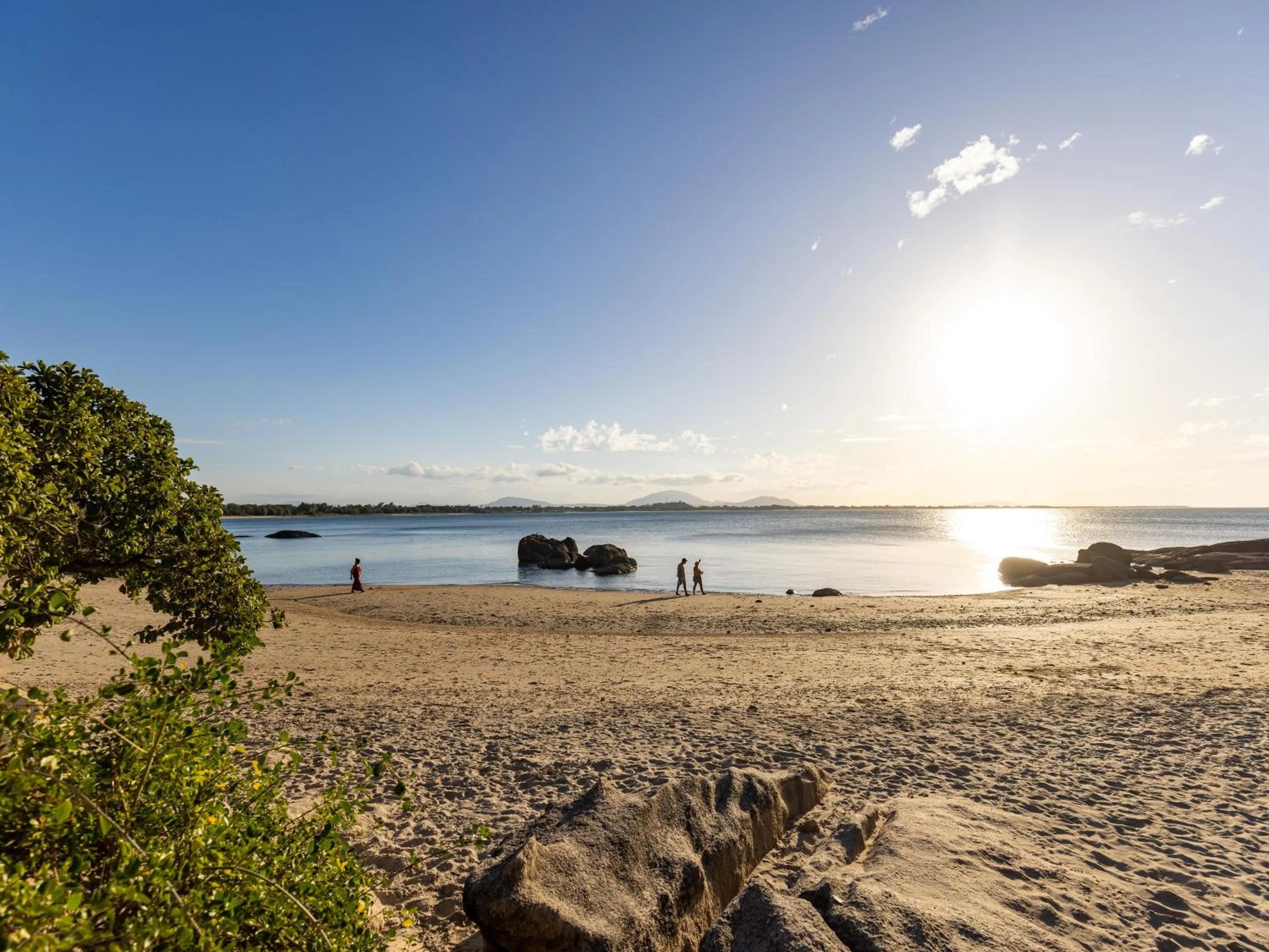 Natural landscape in NRMA Bowen Beachfront Holiday Park