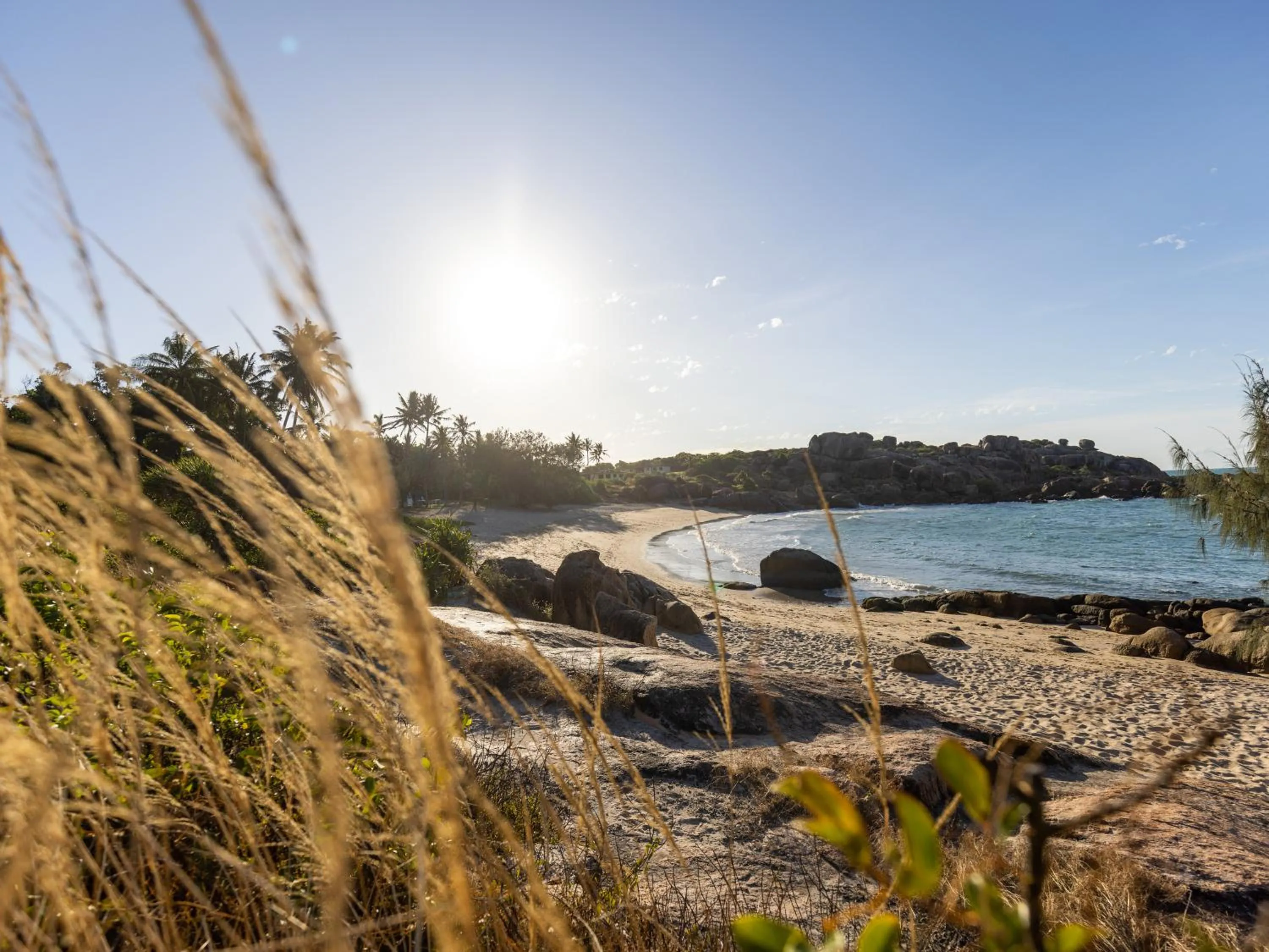 Natural landscape in NRMA Bowen Beachfront Holiday Park