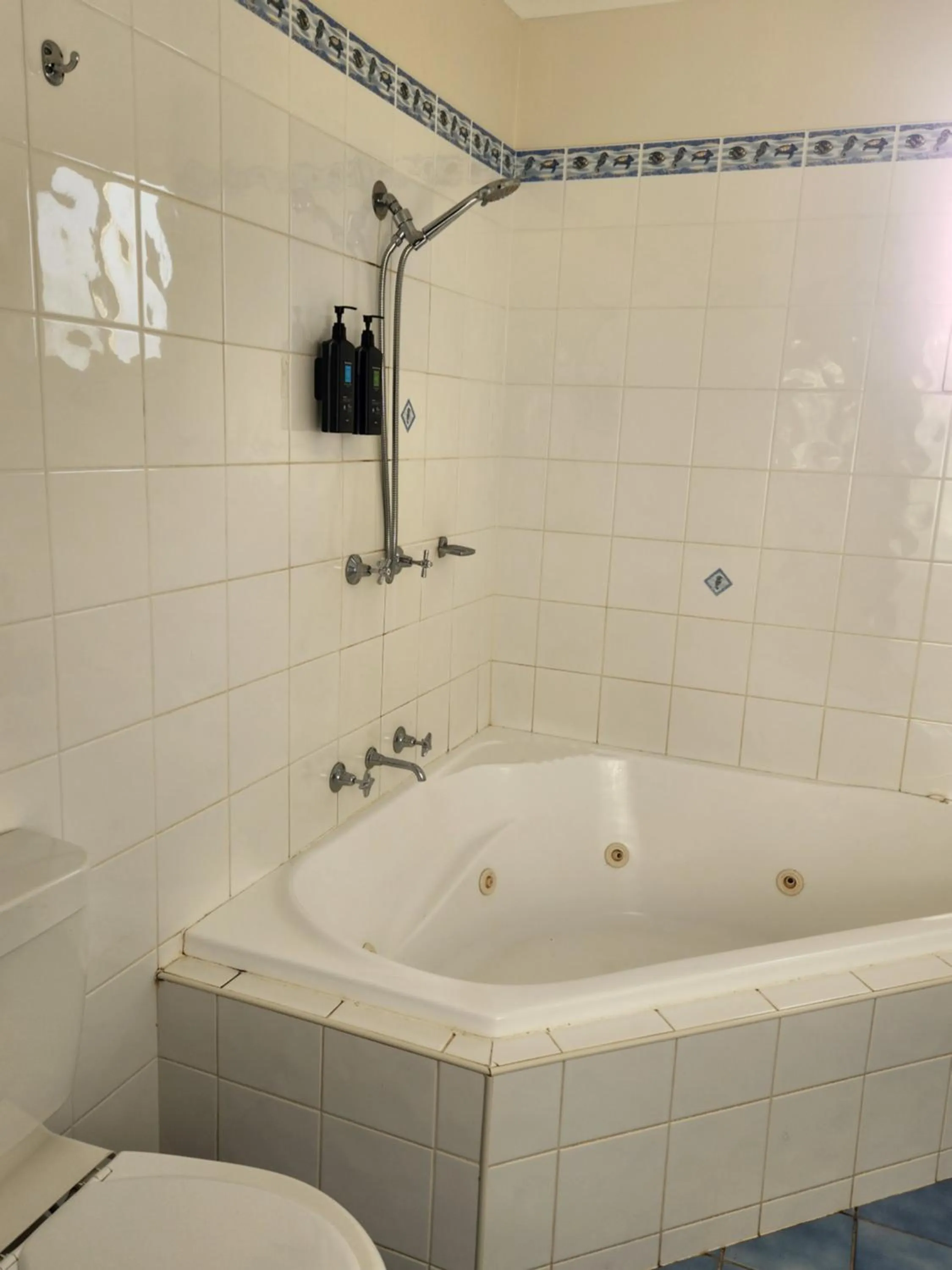 Shower in Eden Gateway Holiday Park