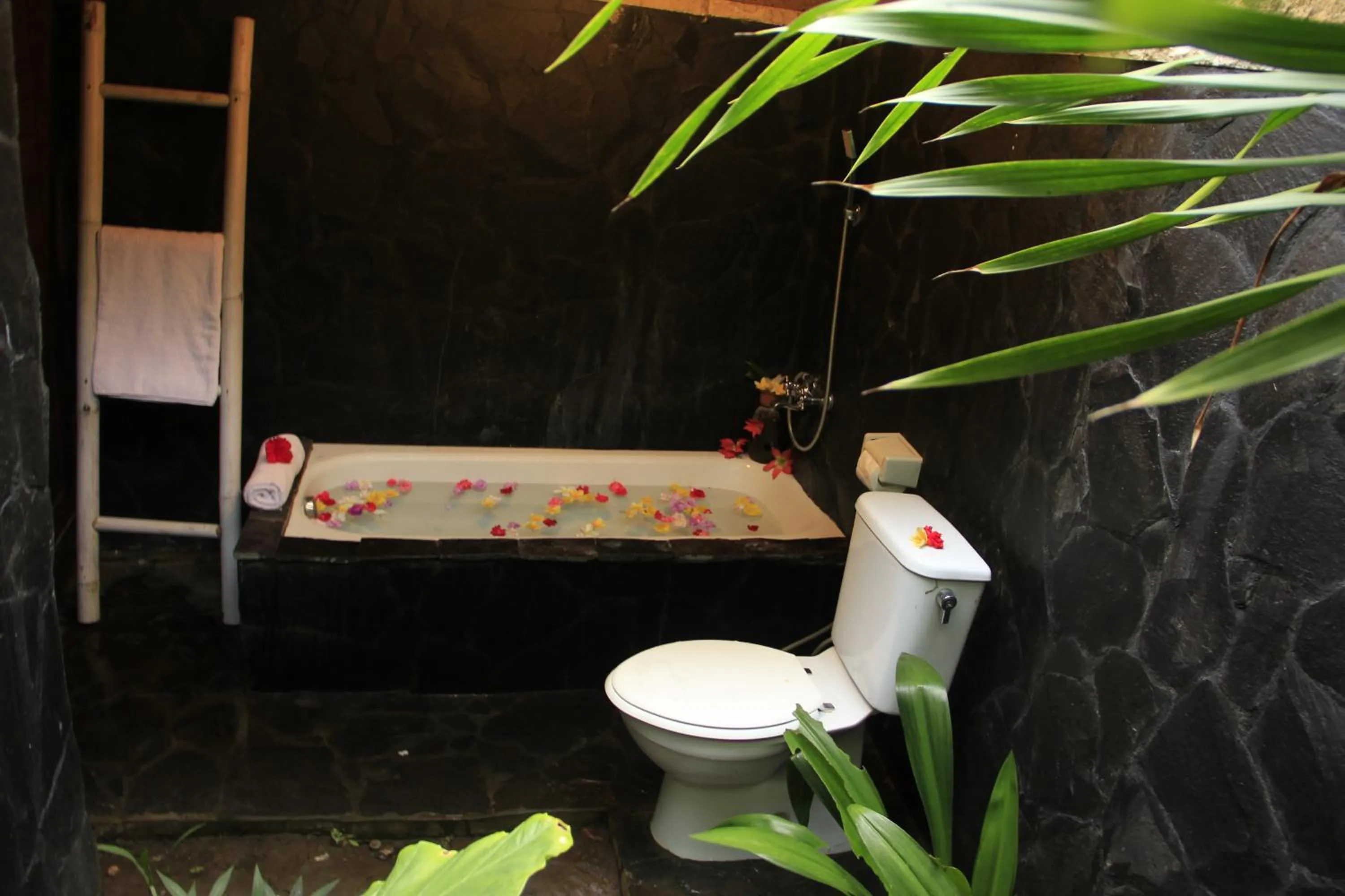 Toilet in Jepun Didulu Cottages