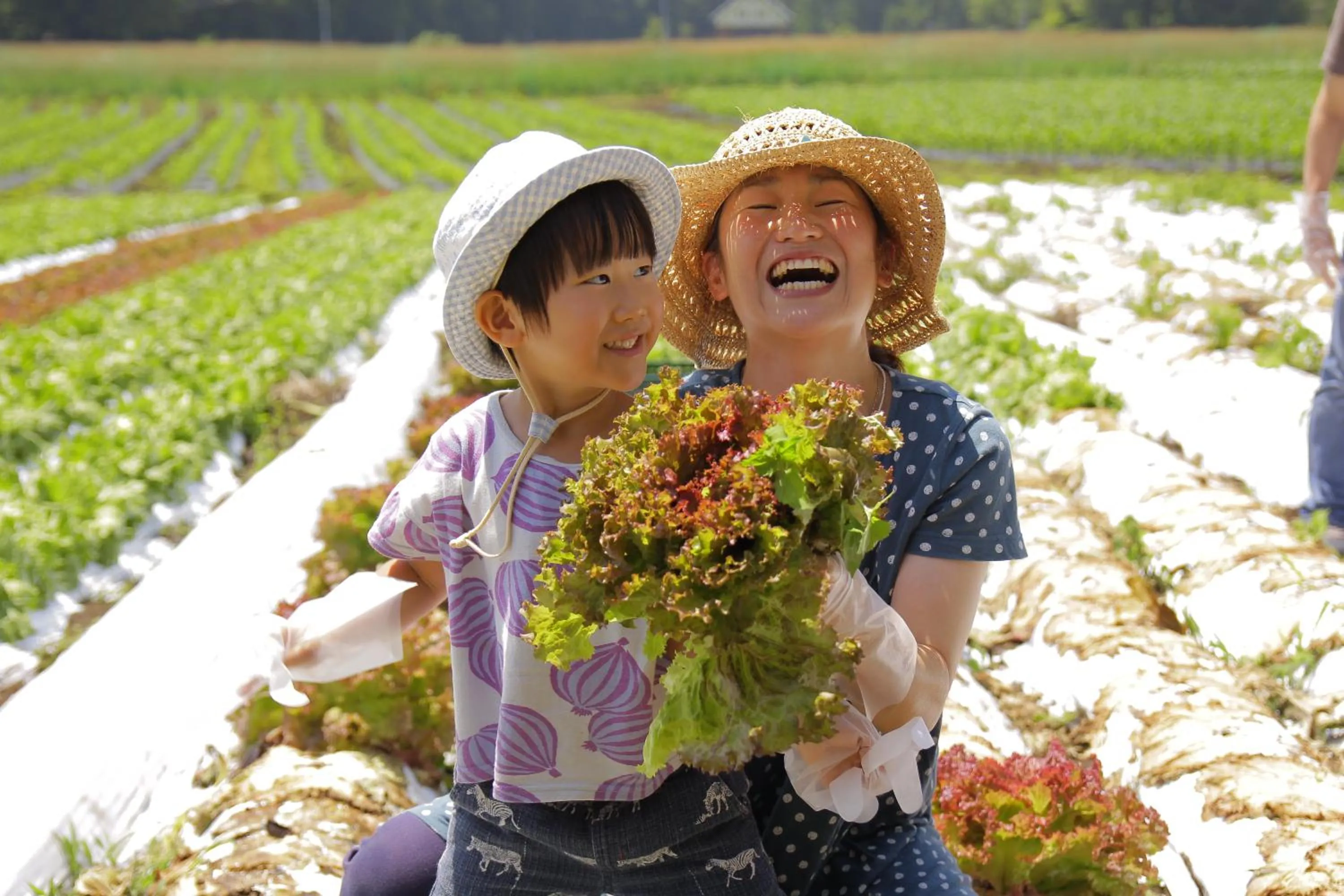 Location in Yatsugatake Grace Hotel