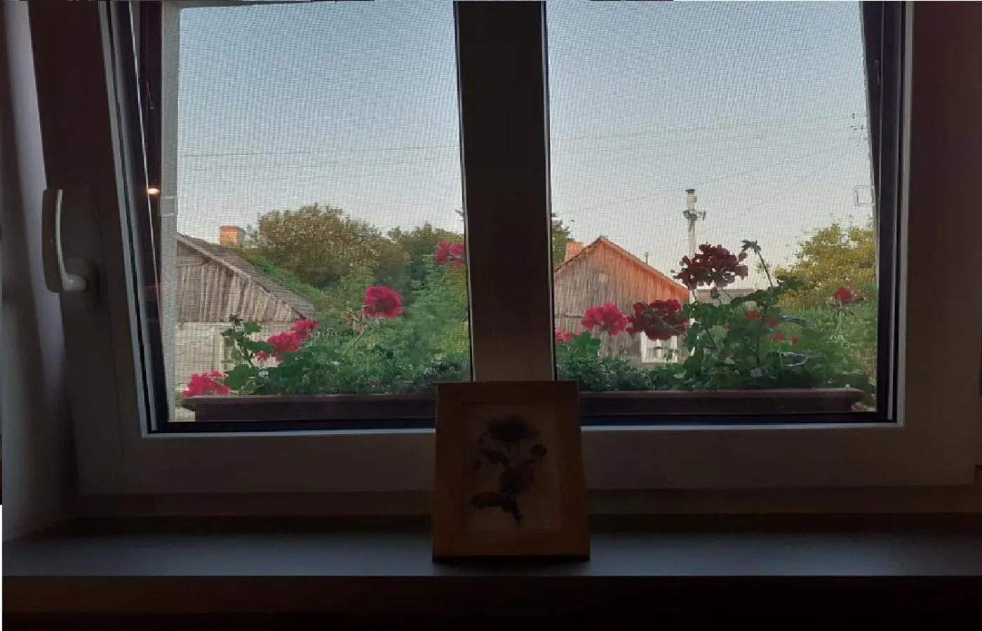 View (from property/room) in Przystanek Tykocin - apartamenty gościnne