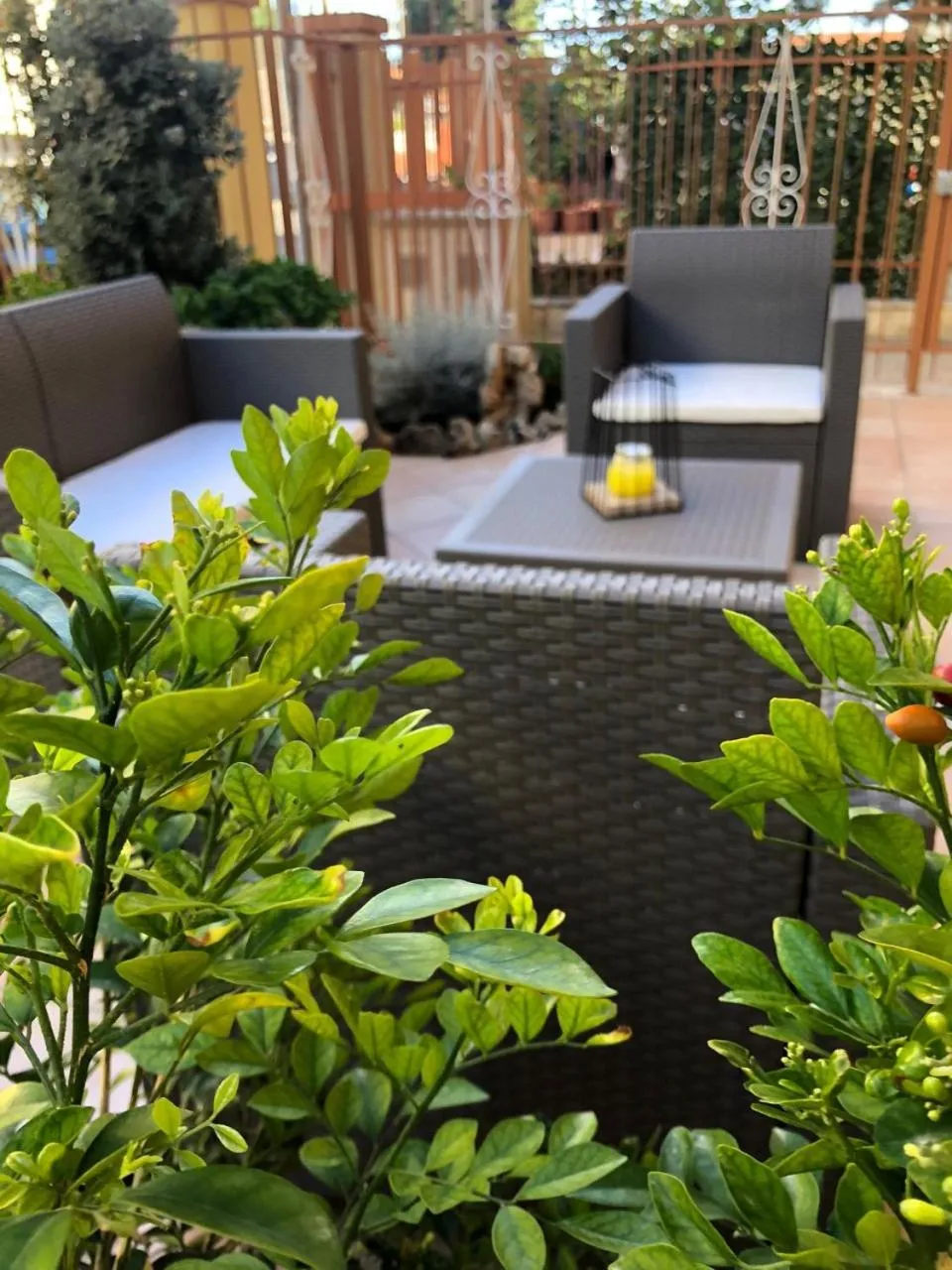 Balcony/Terrace in San Gabriele Relais