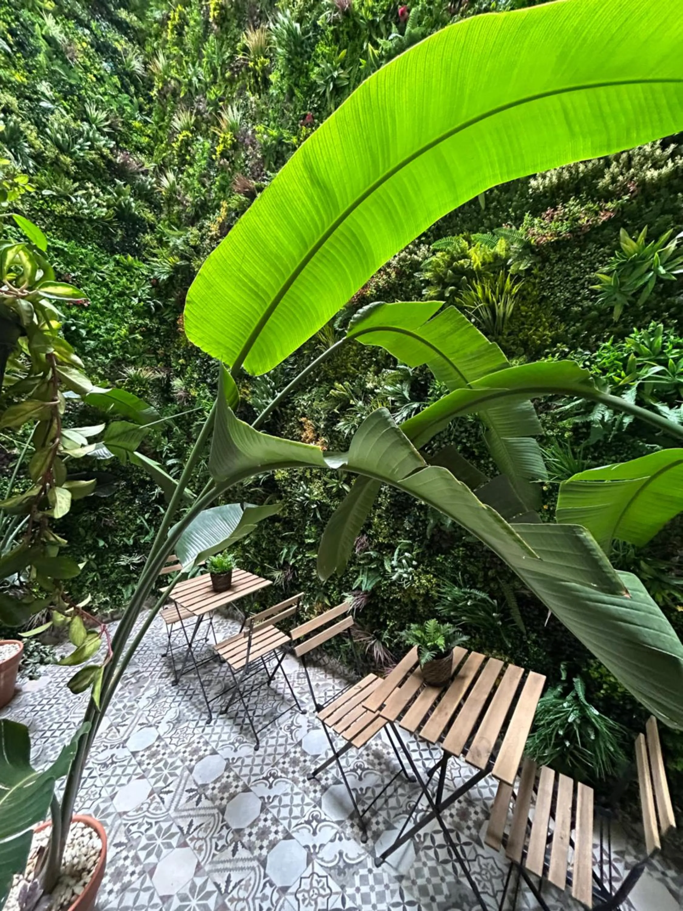 Garden in Hotel BH San Francisco Alicante