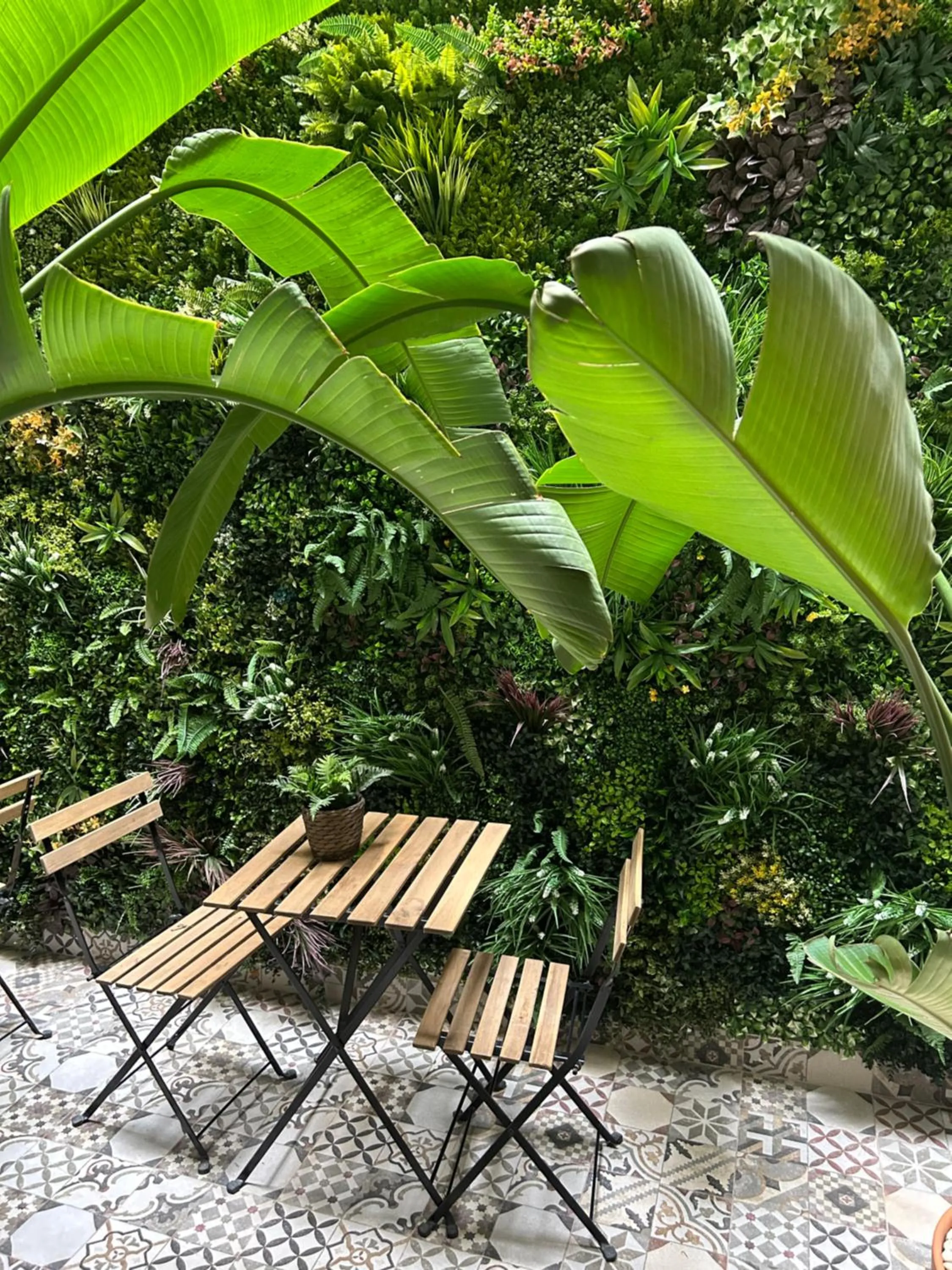 Garden in Hotel BH San Francisco Alicante