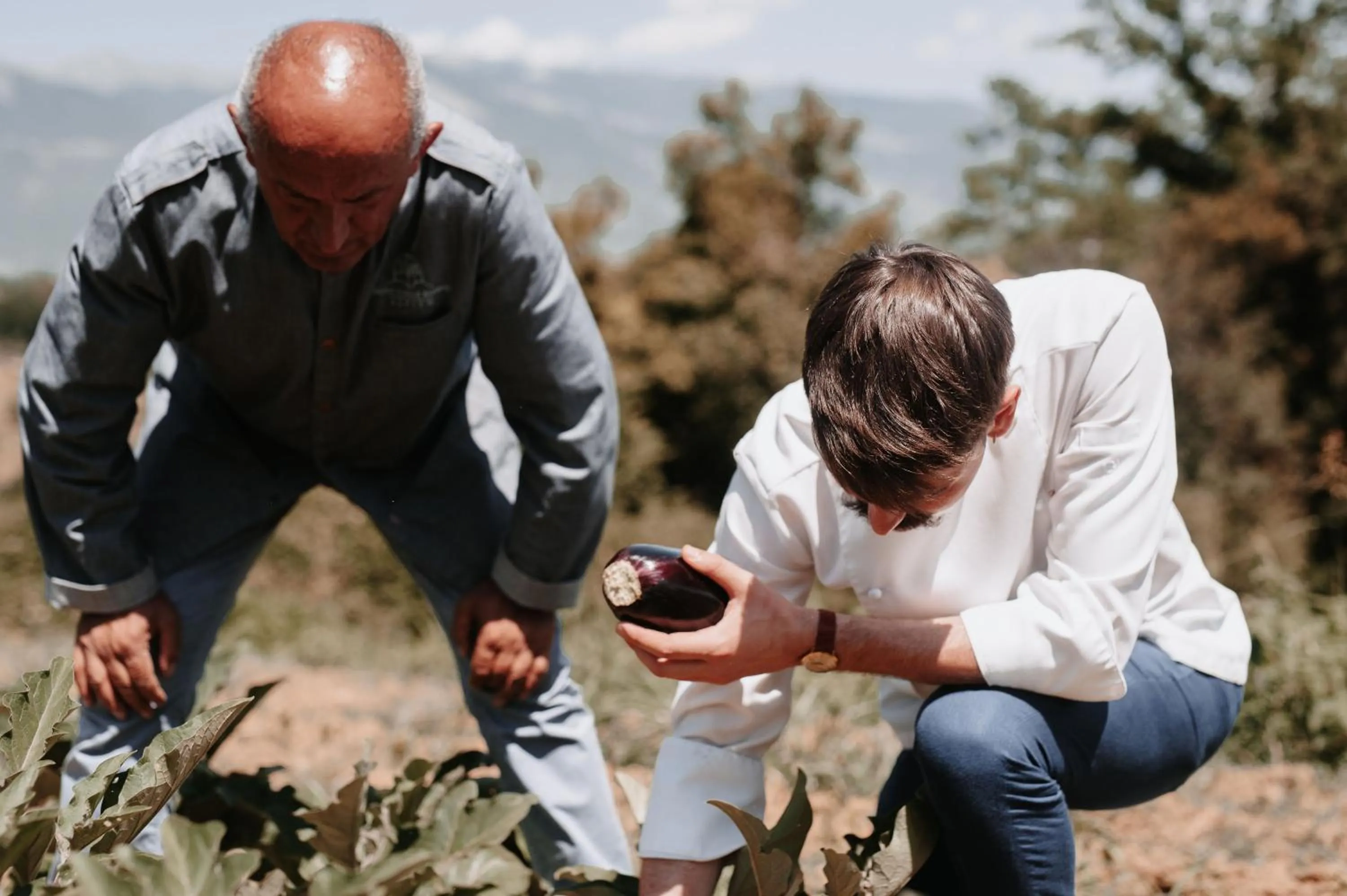 Spring in RELAIS COLLE BUONO