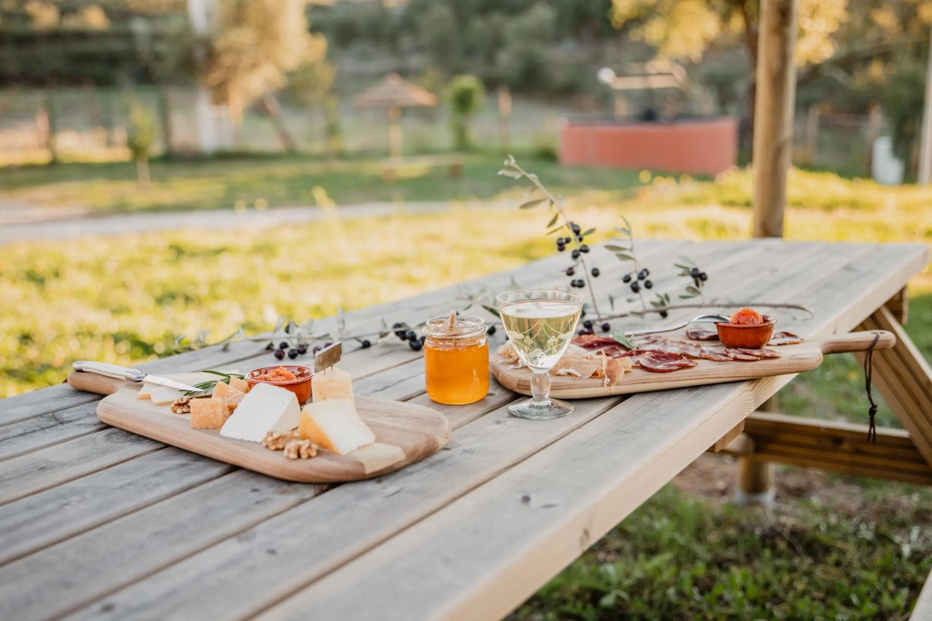 Lounge or bar in Gavião Nature Village