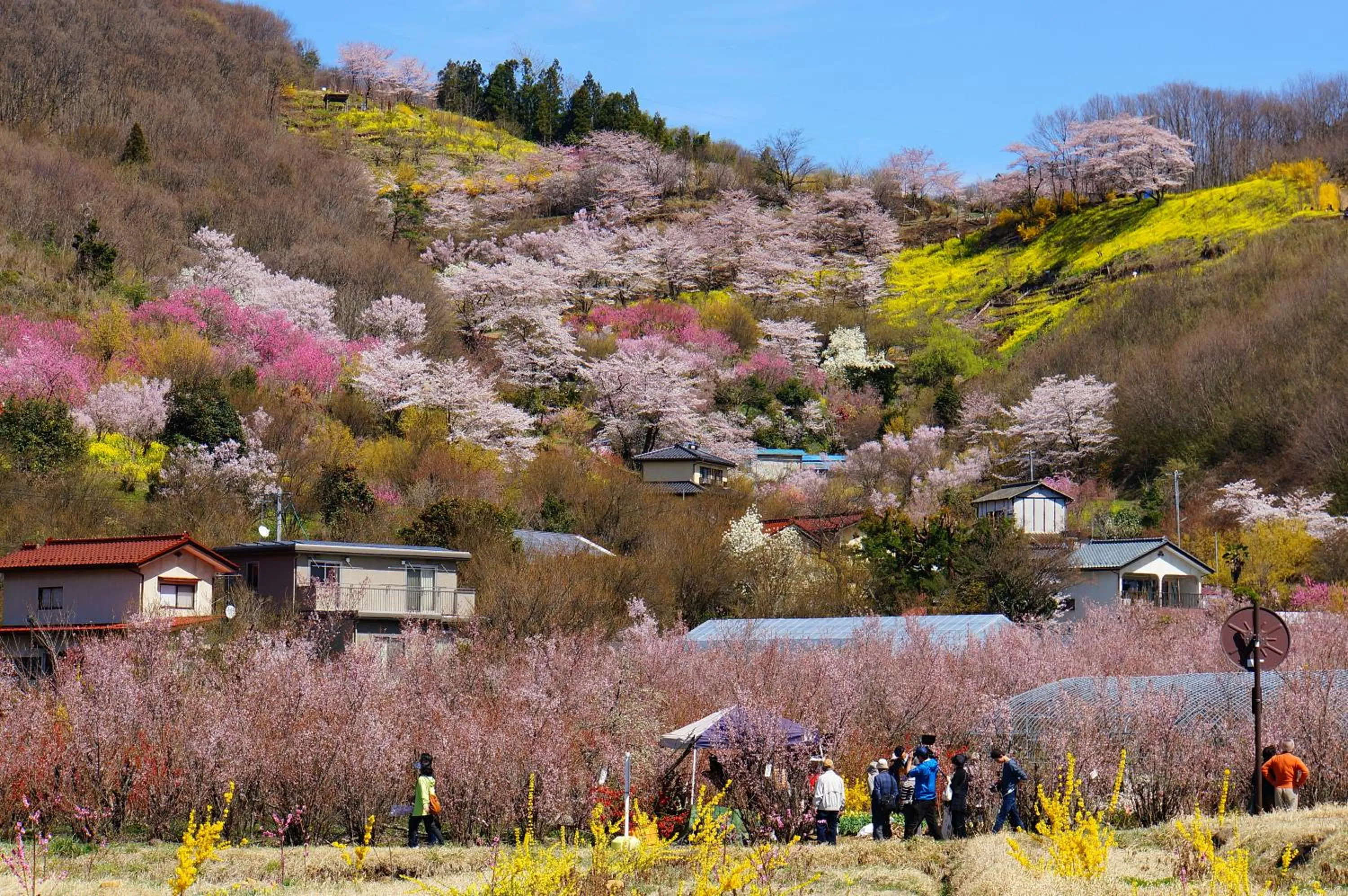 Nearby landmark in La Union