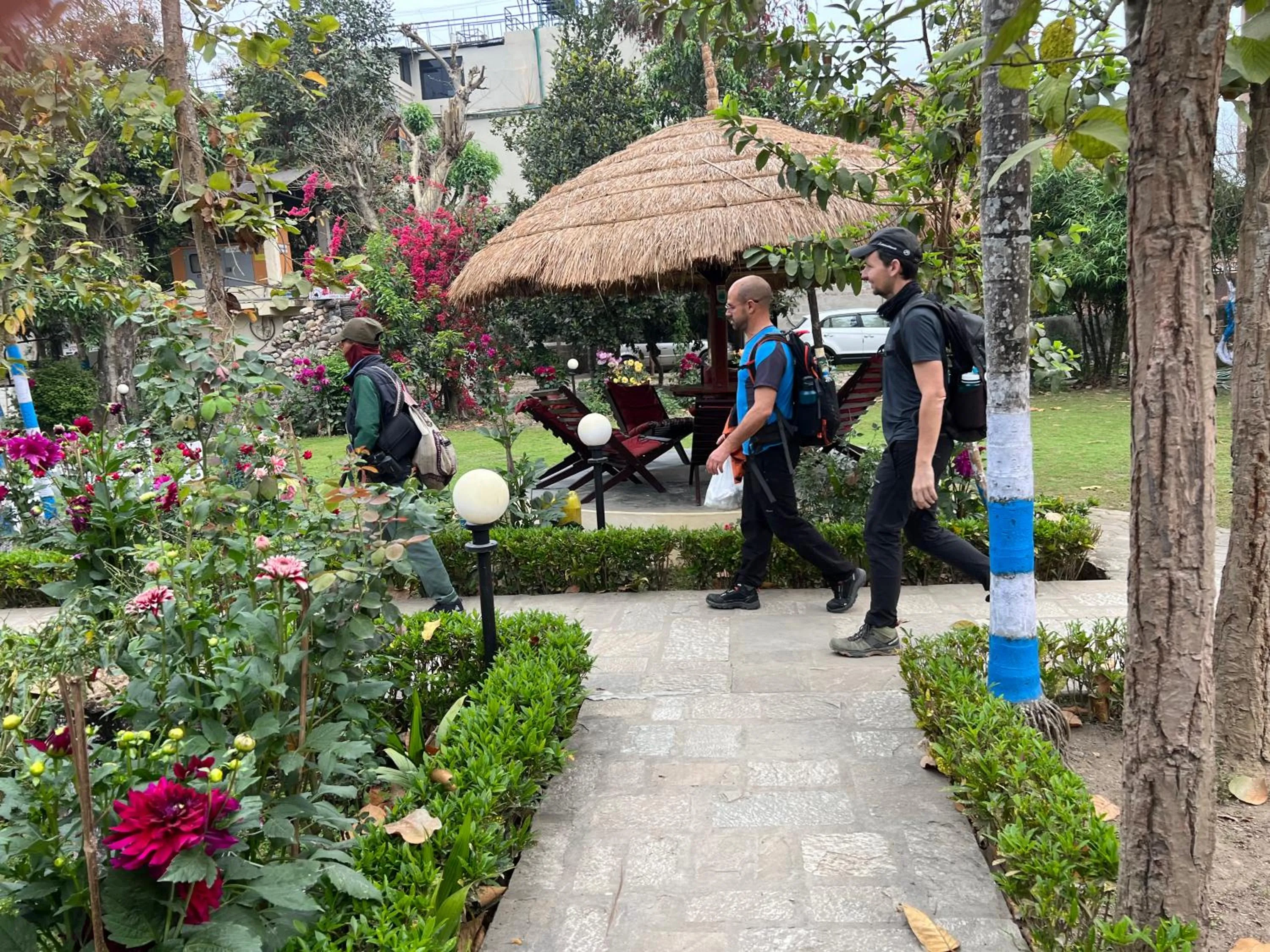 Garden in Travellers Jungle Camp-Sauraha