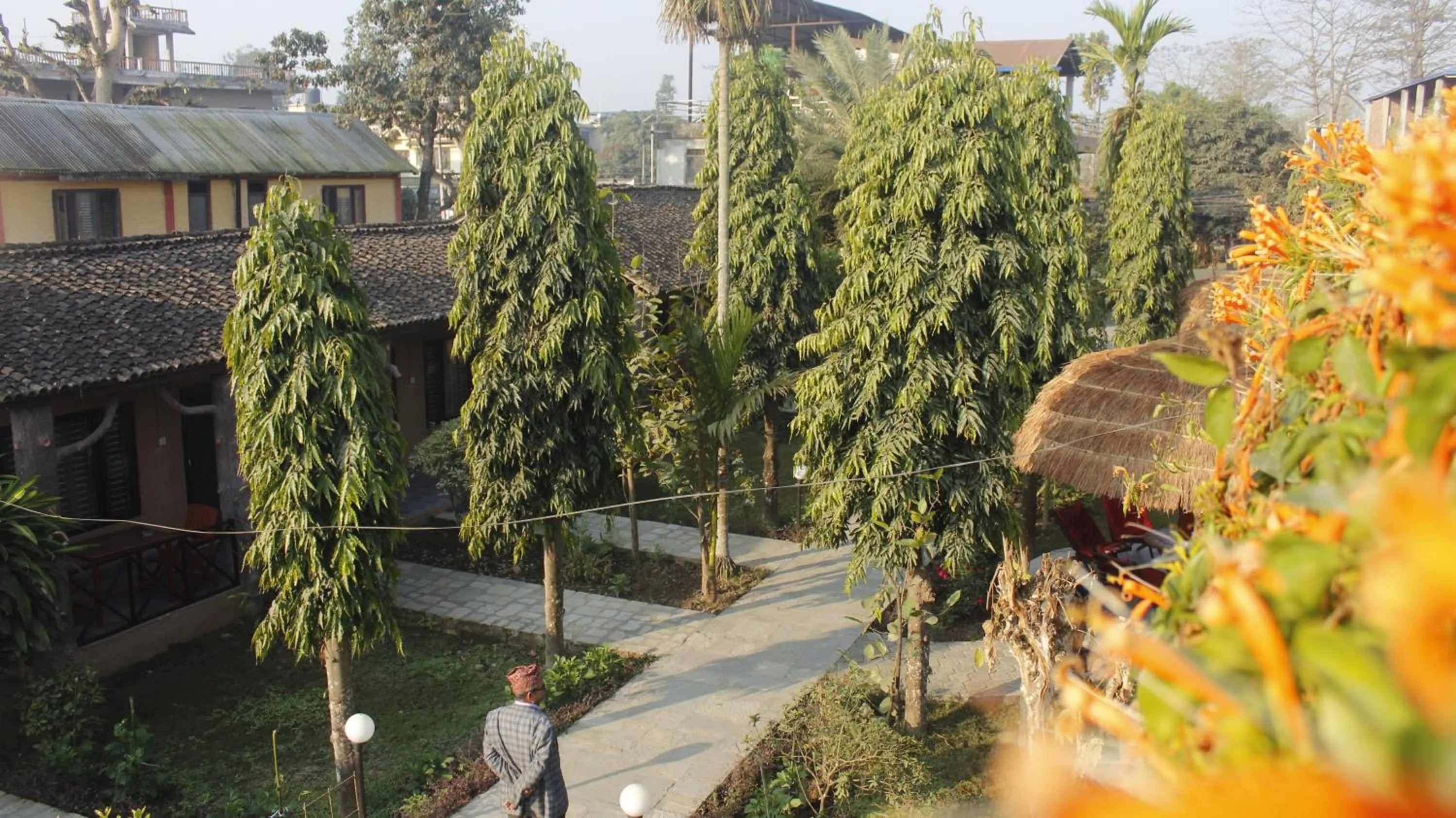 Garden in Travellers Jungle Camp-Sauraha