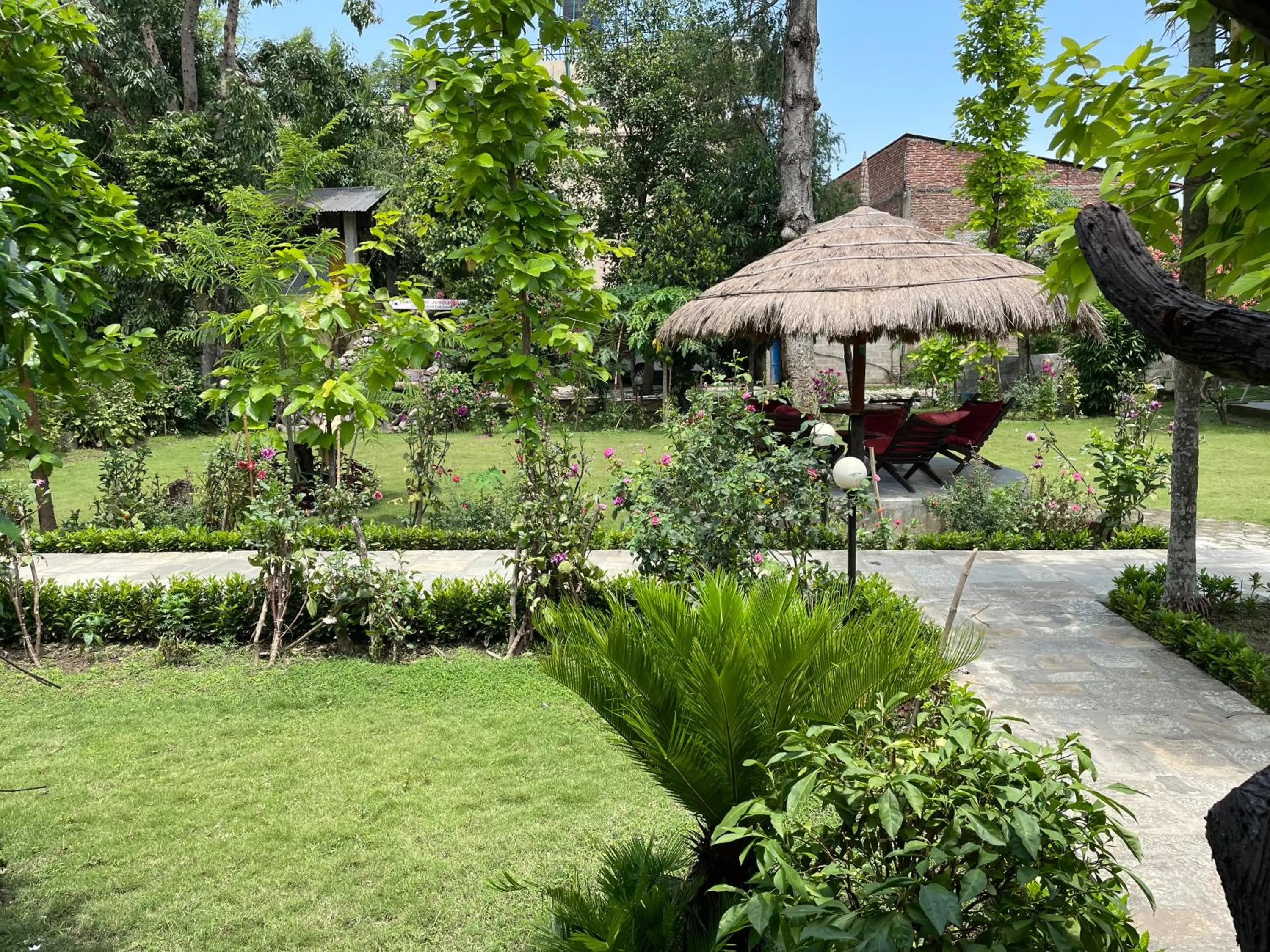 Patio in Travellers Jungle Camp-Sauraha
