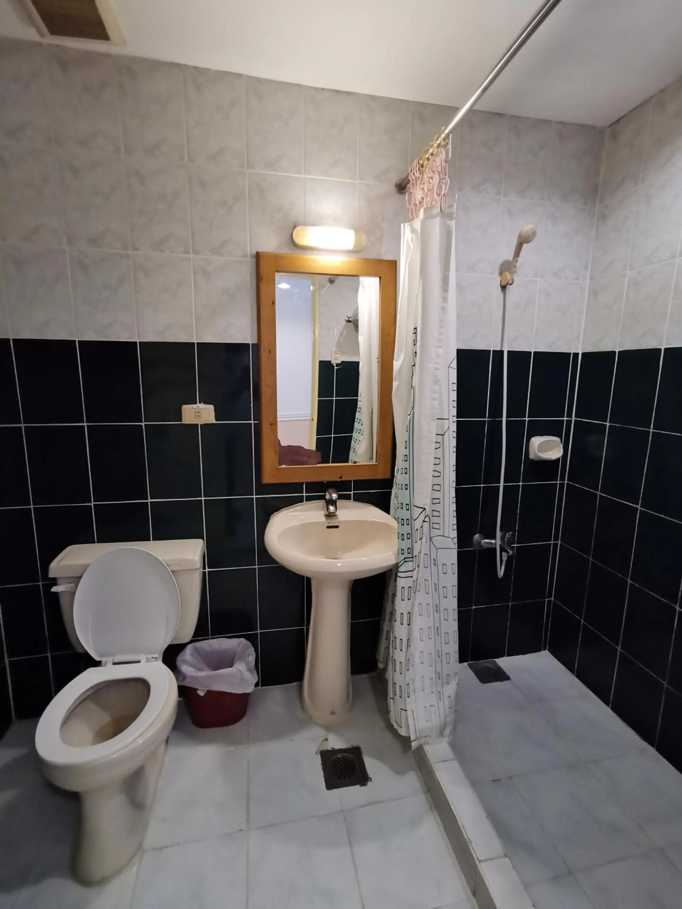 Shower in Metro Park Hotel - Cebu City