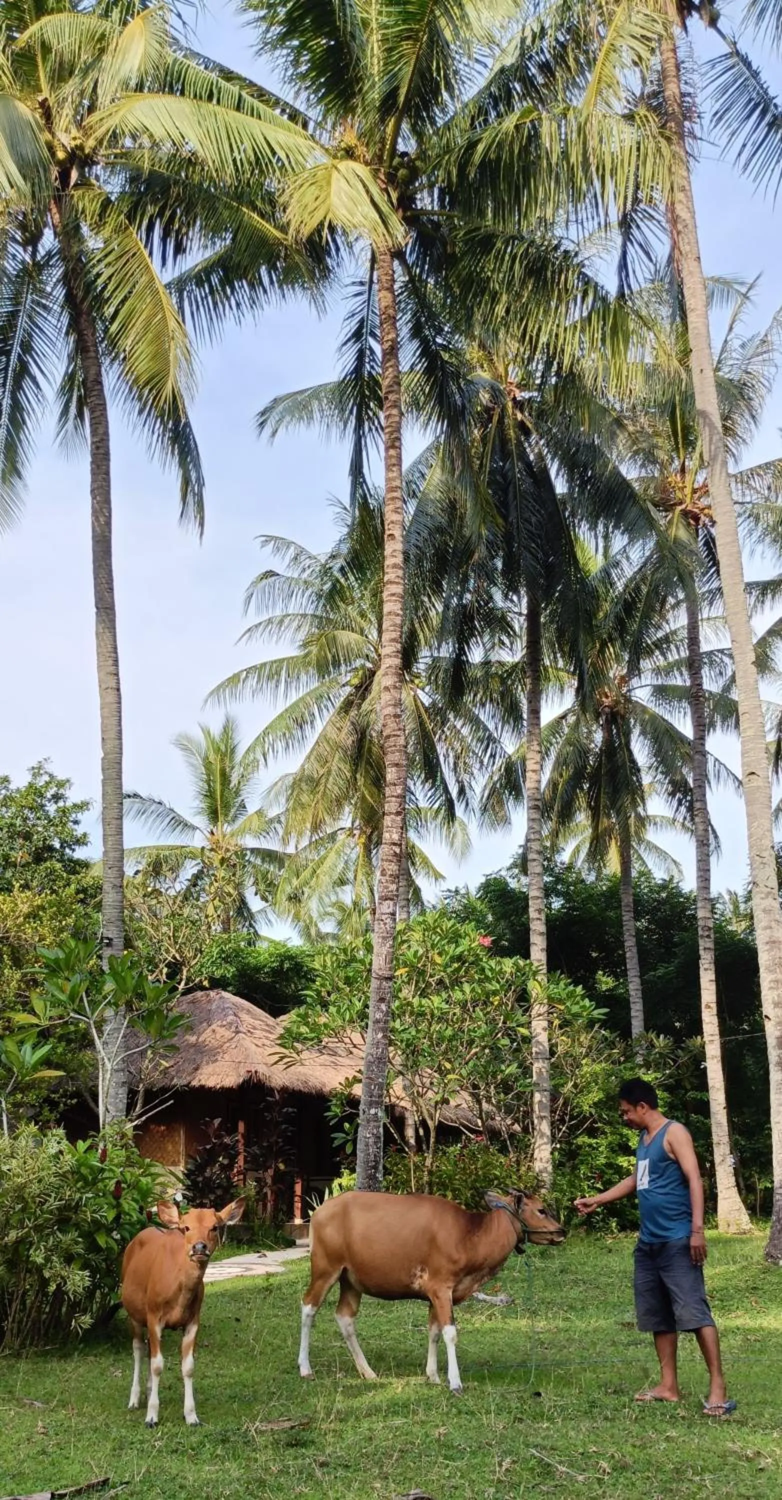 Lendang Eco Lodge