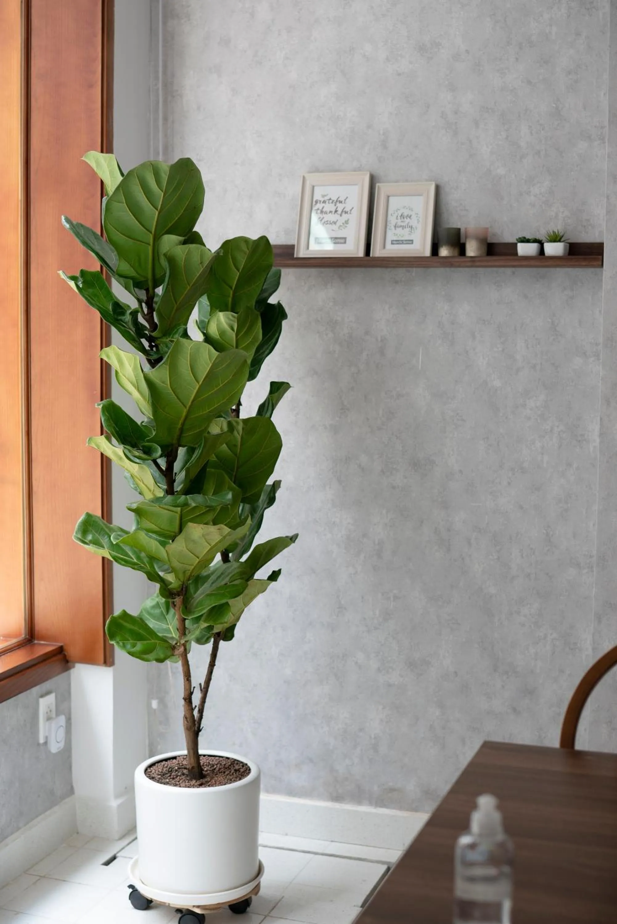 Lobby or reception in PANDORA HOUSE