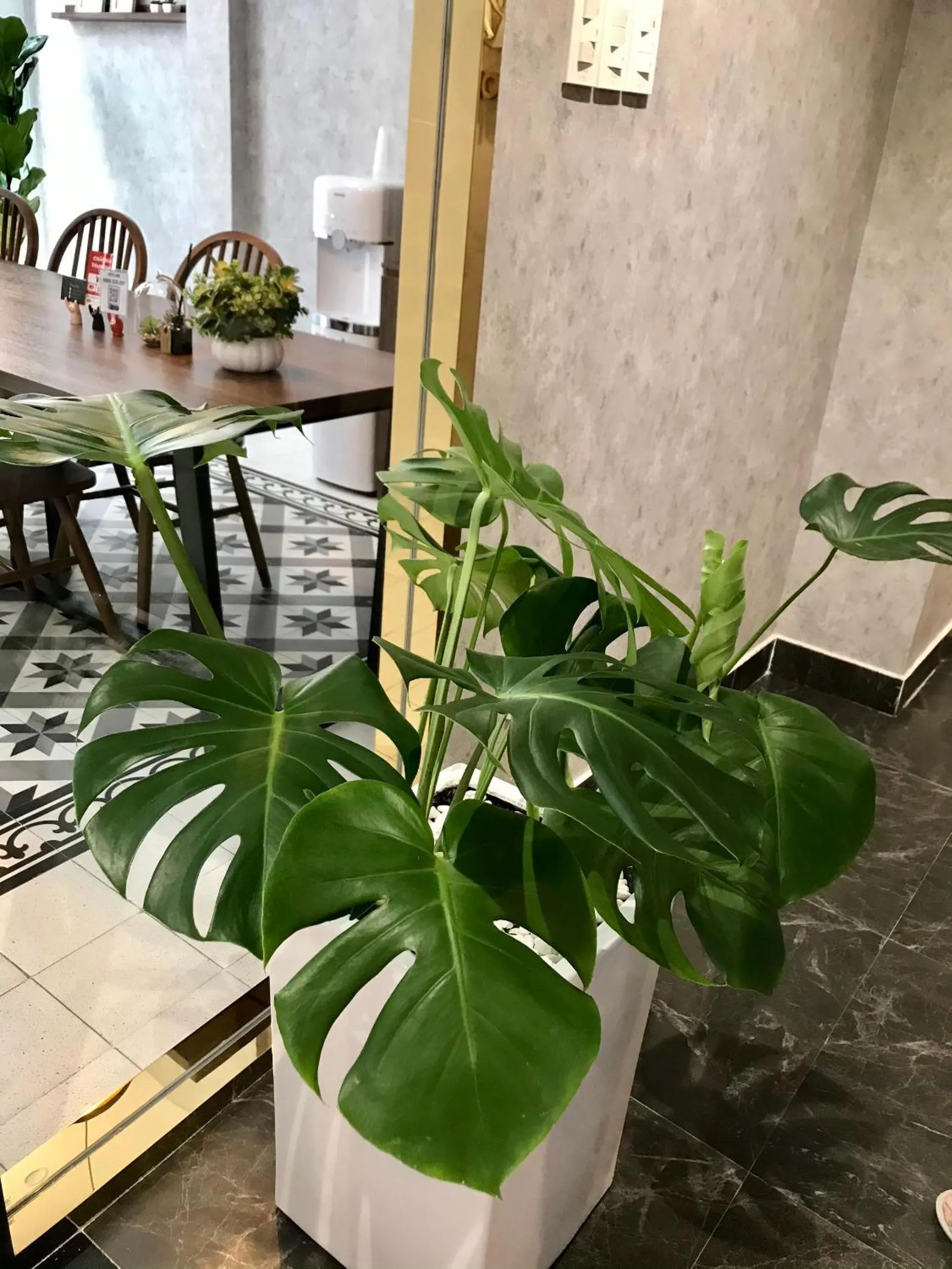 Lobby or reception in PANDORA HOUSE