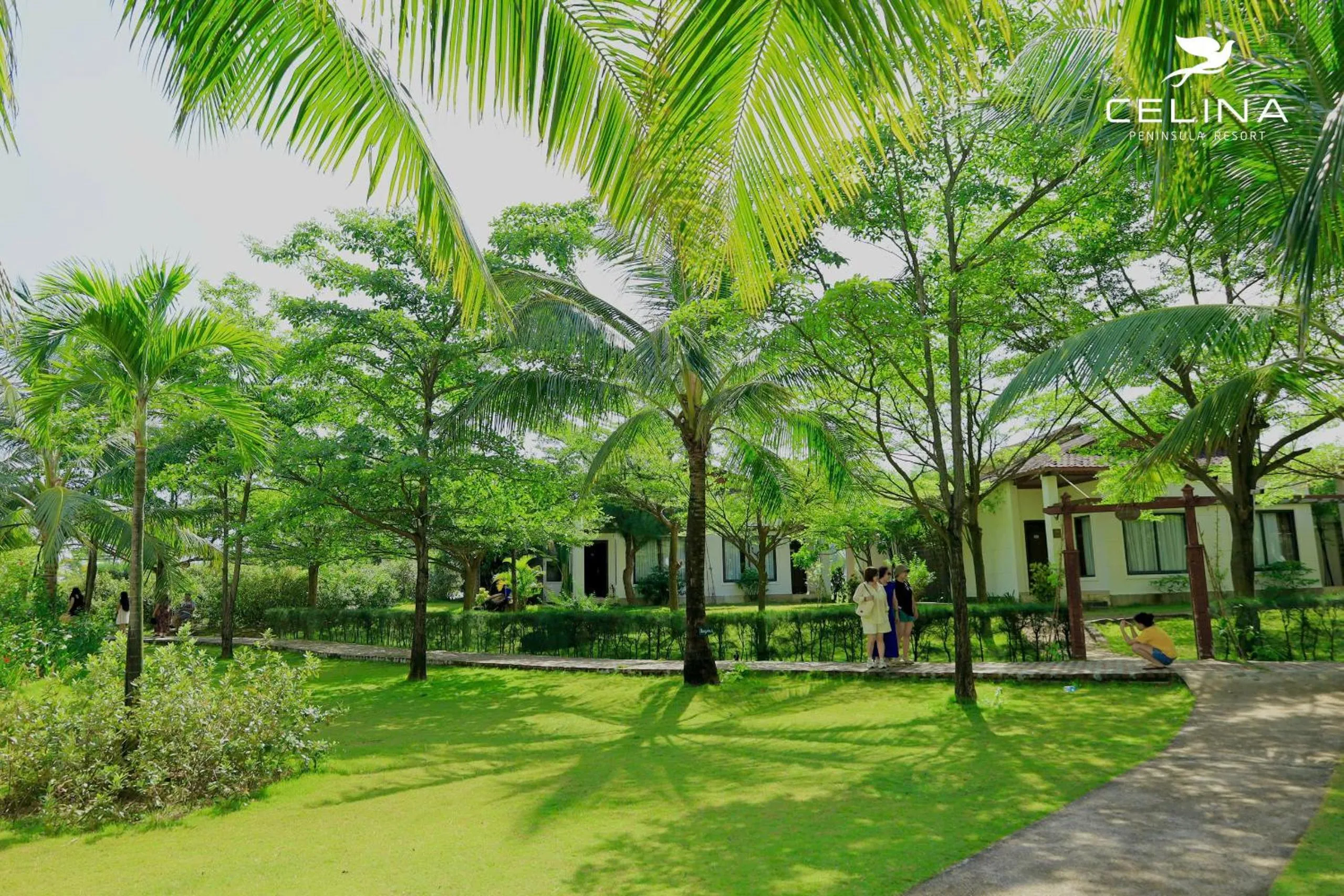 Natural landscape in Celina Peninsula Resort Quảng Bình