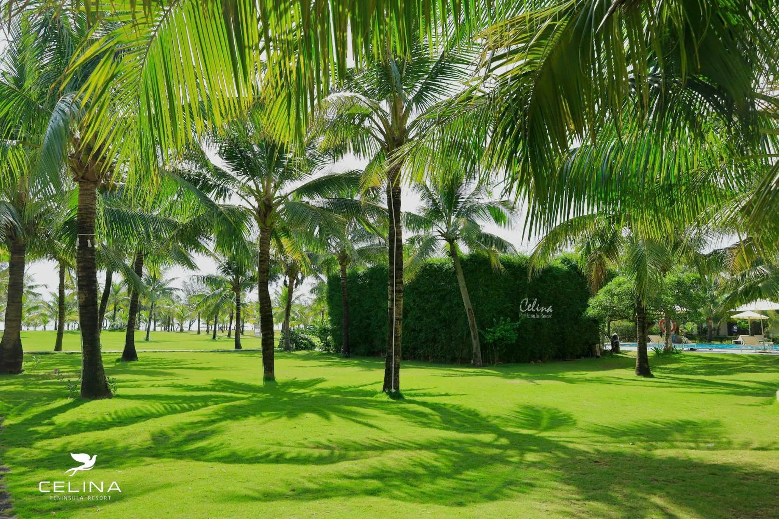 Natural landscape in Celina Peninsula Resort Quảng Bình