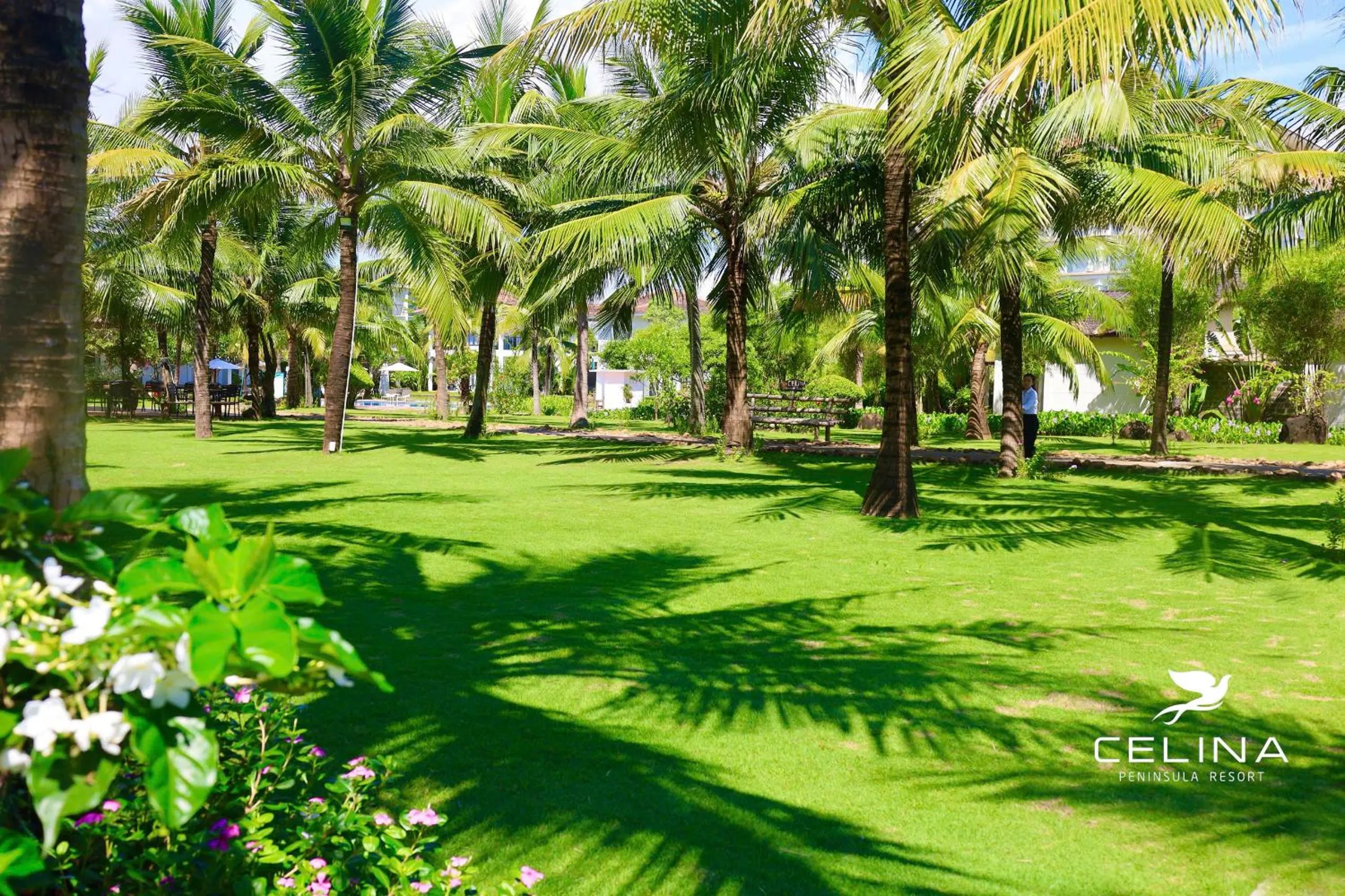 Spring in Celina Peninsula Resort Quảng Bình