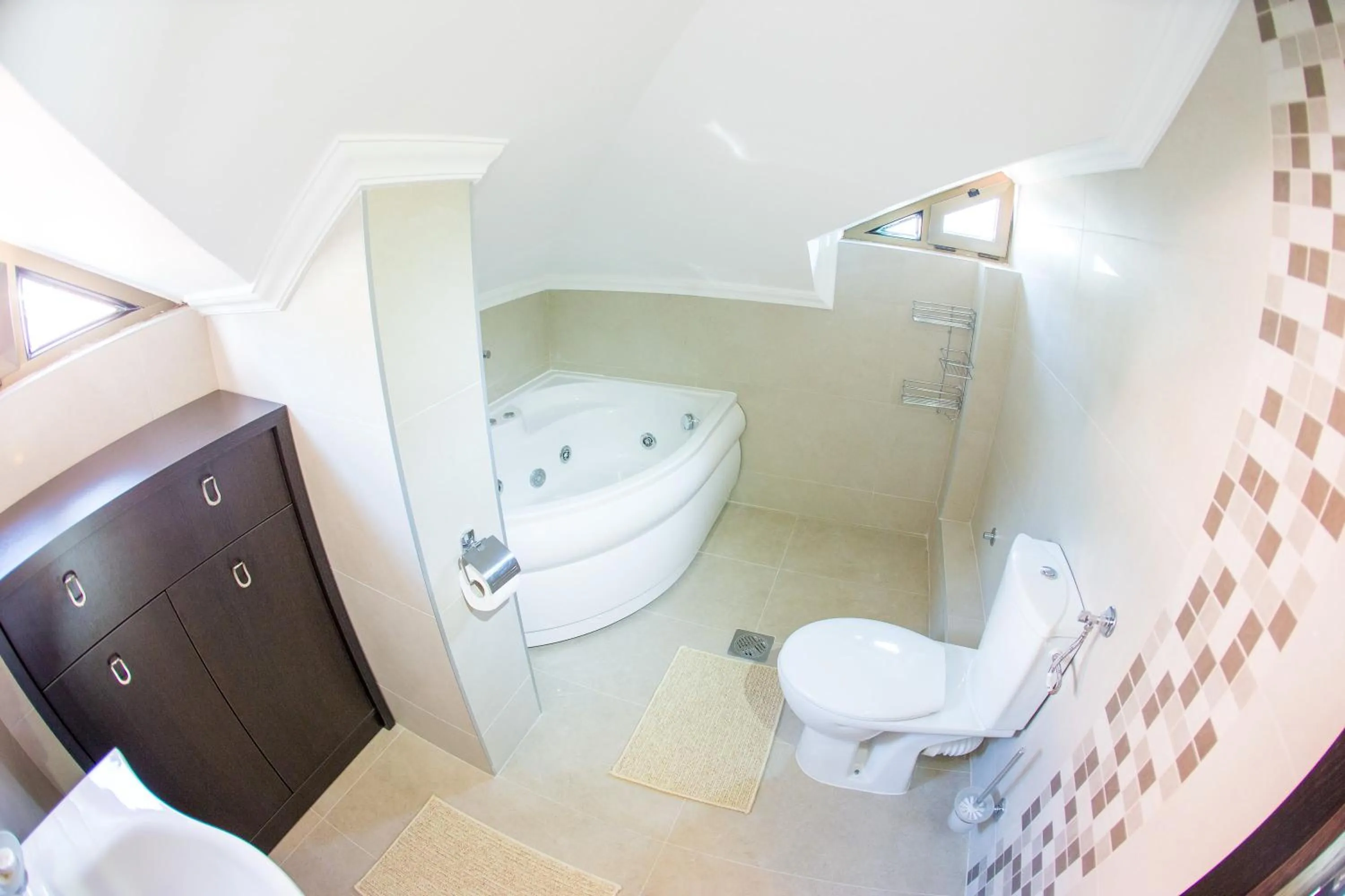 Toilet in Swiss Holiday